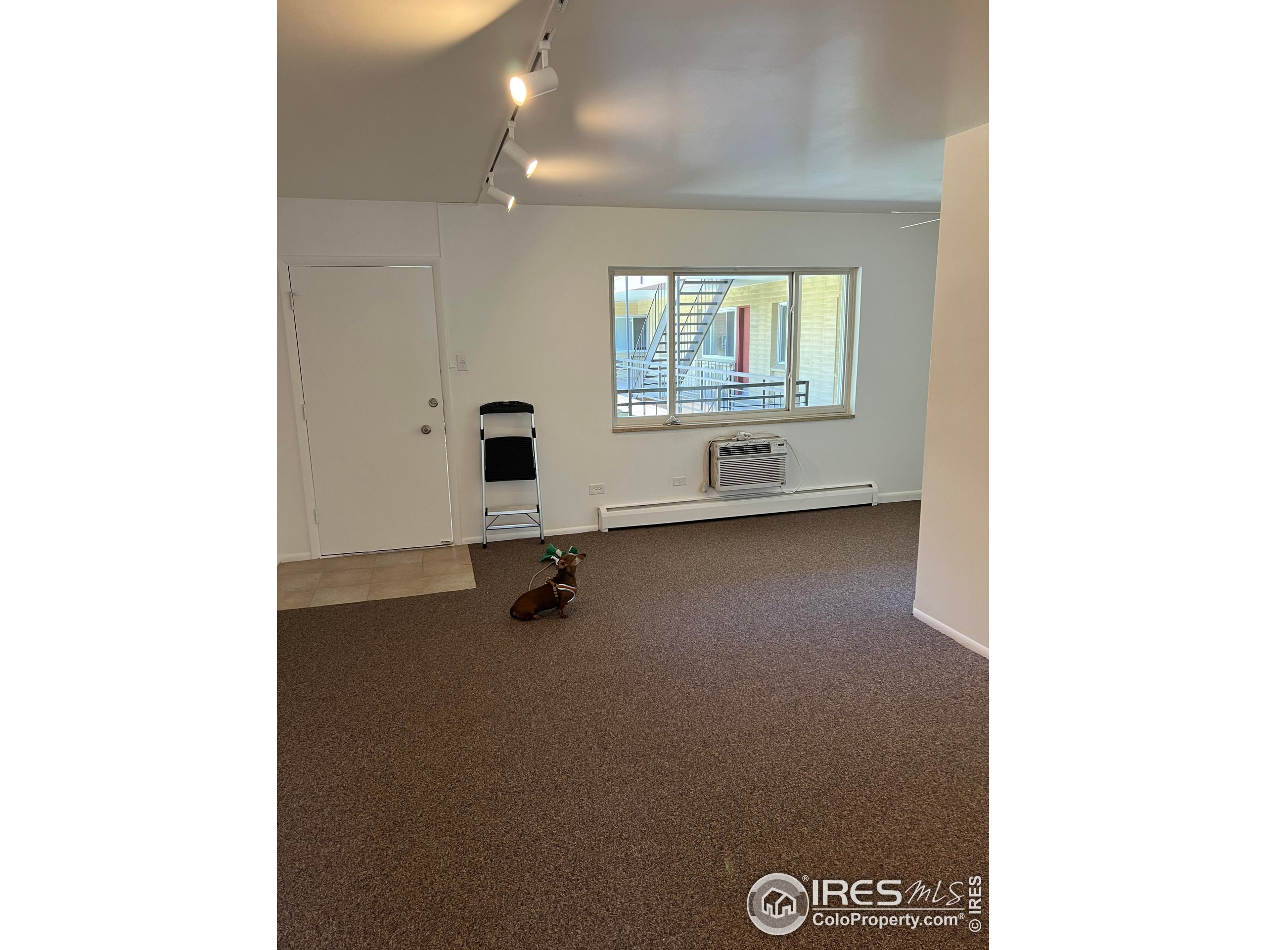 830 20th St Unit: 210