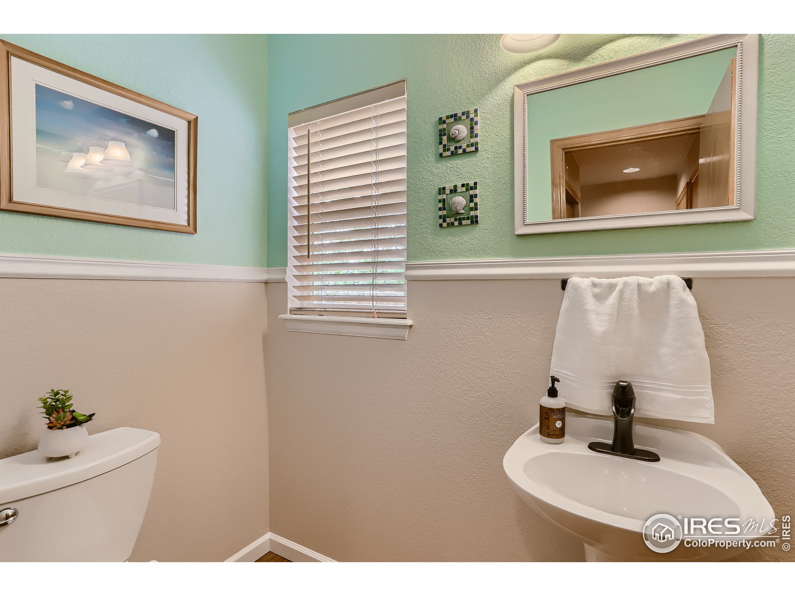 733 Nelson Park Cir