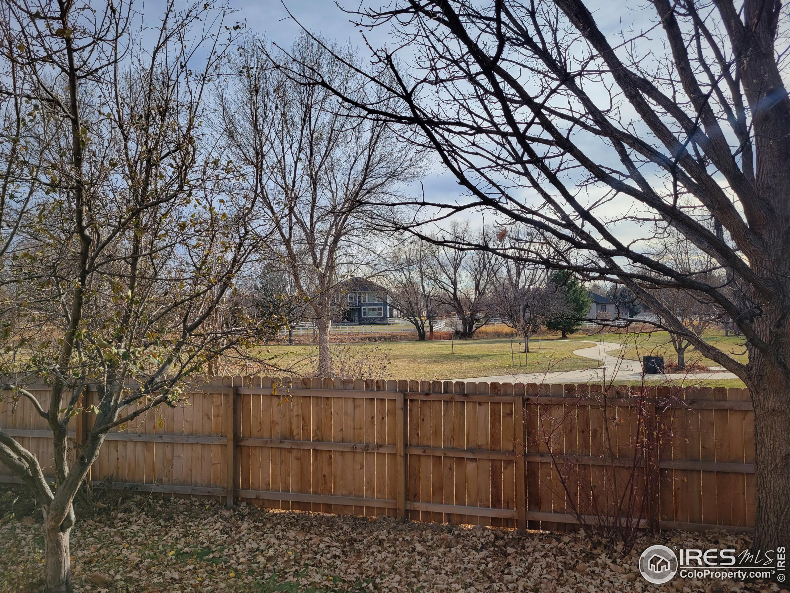 733 Nelson Park Cir