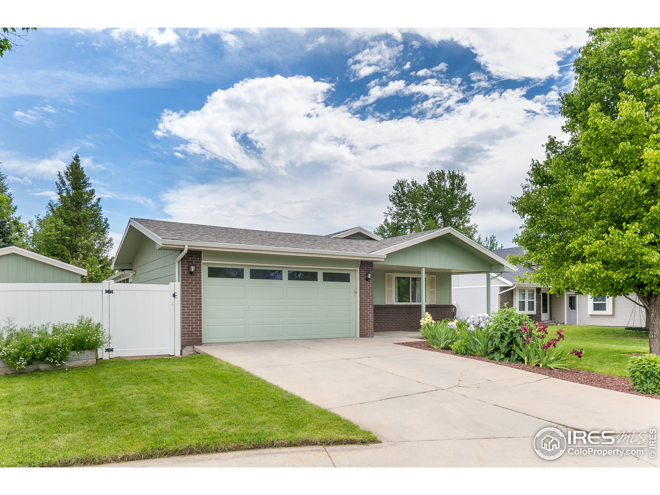 703 Buckhorn Mountain Ct