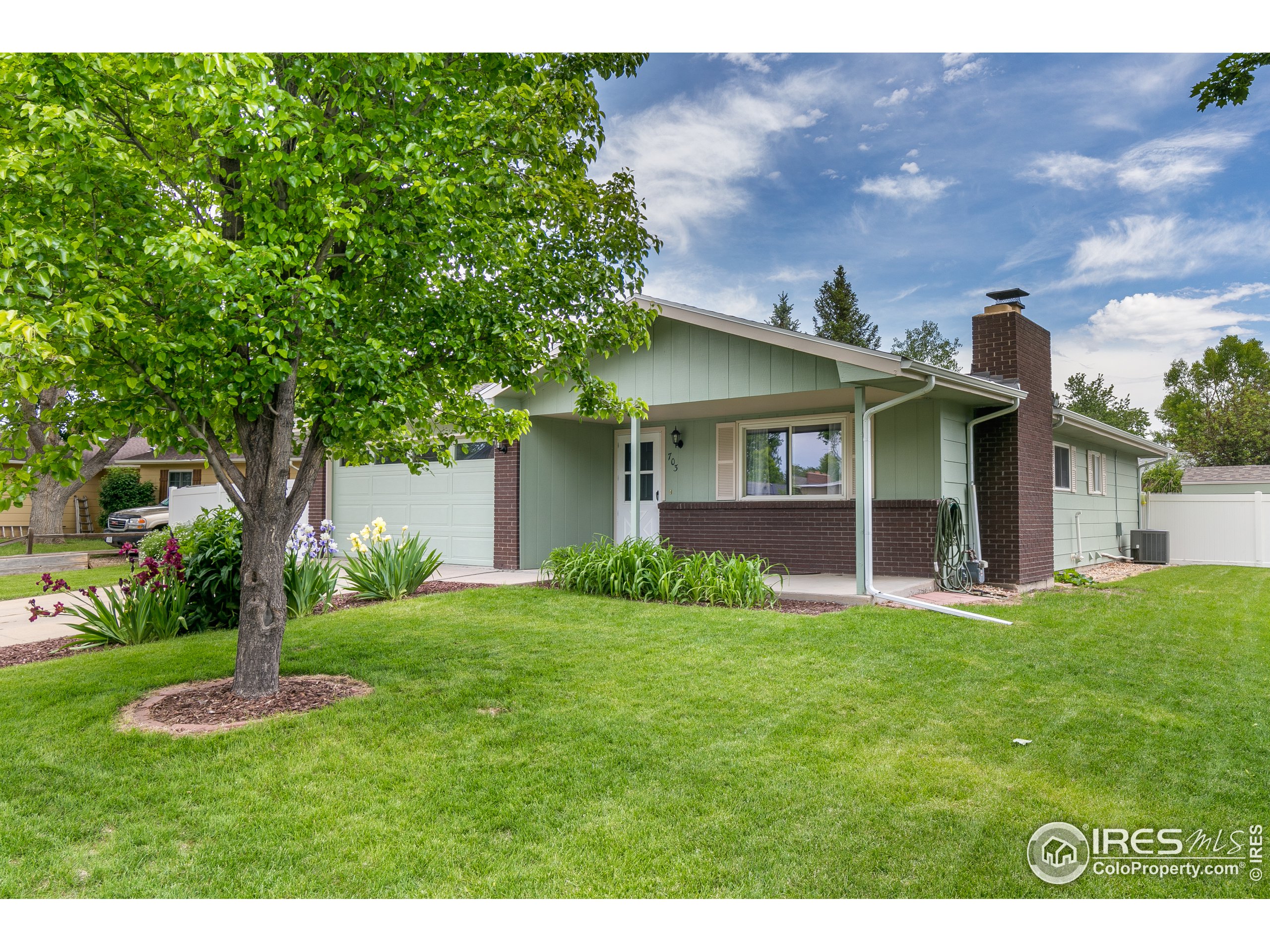 703 Buckhorn Mountain Ct