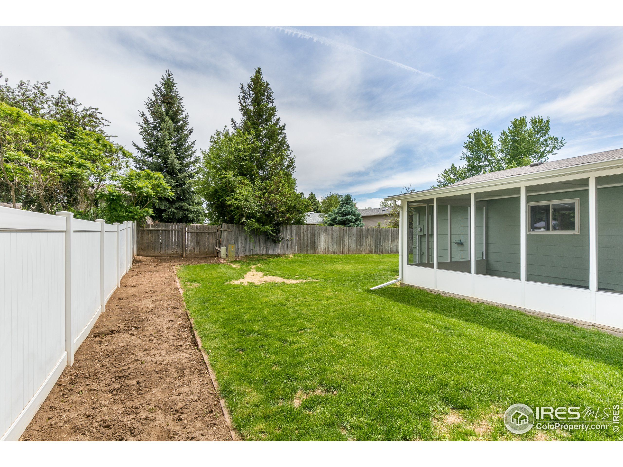 703 Buckhorn Mountain Ct