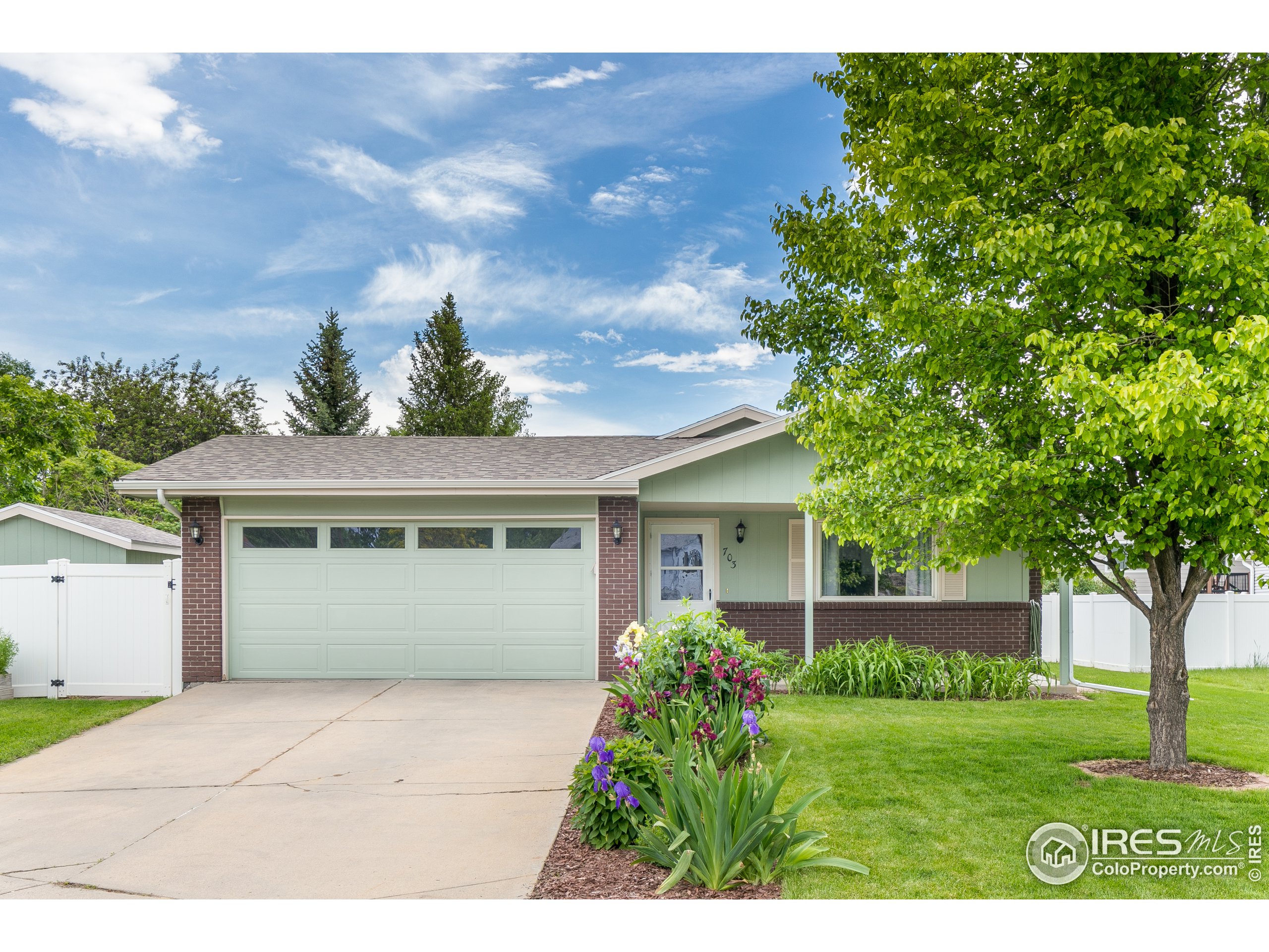 703 Buckhorn Mountain Ct