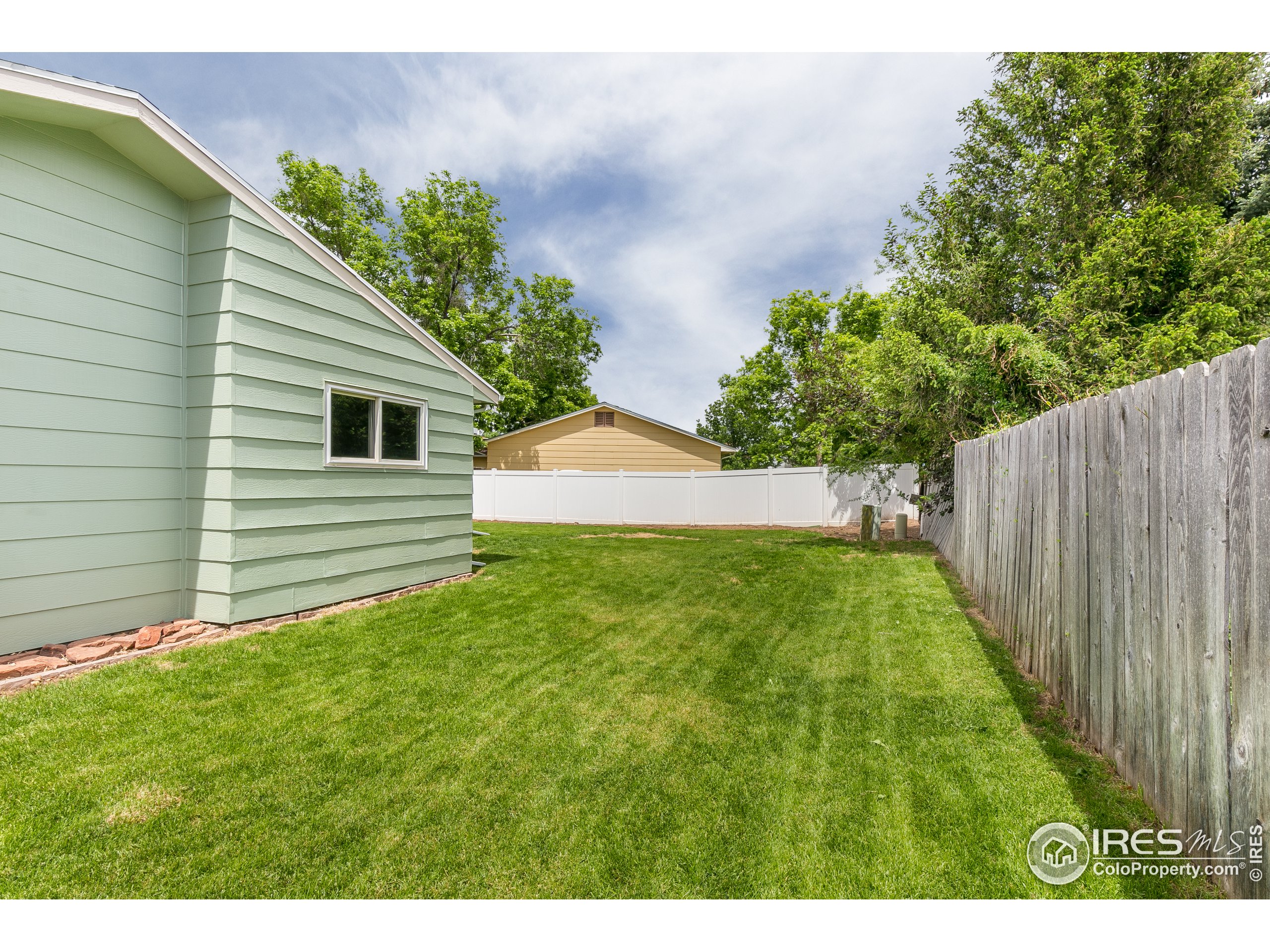 703 Buckhorn Mountain Ct