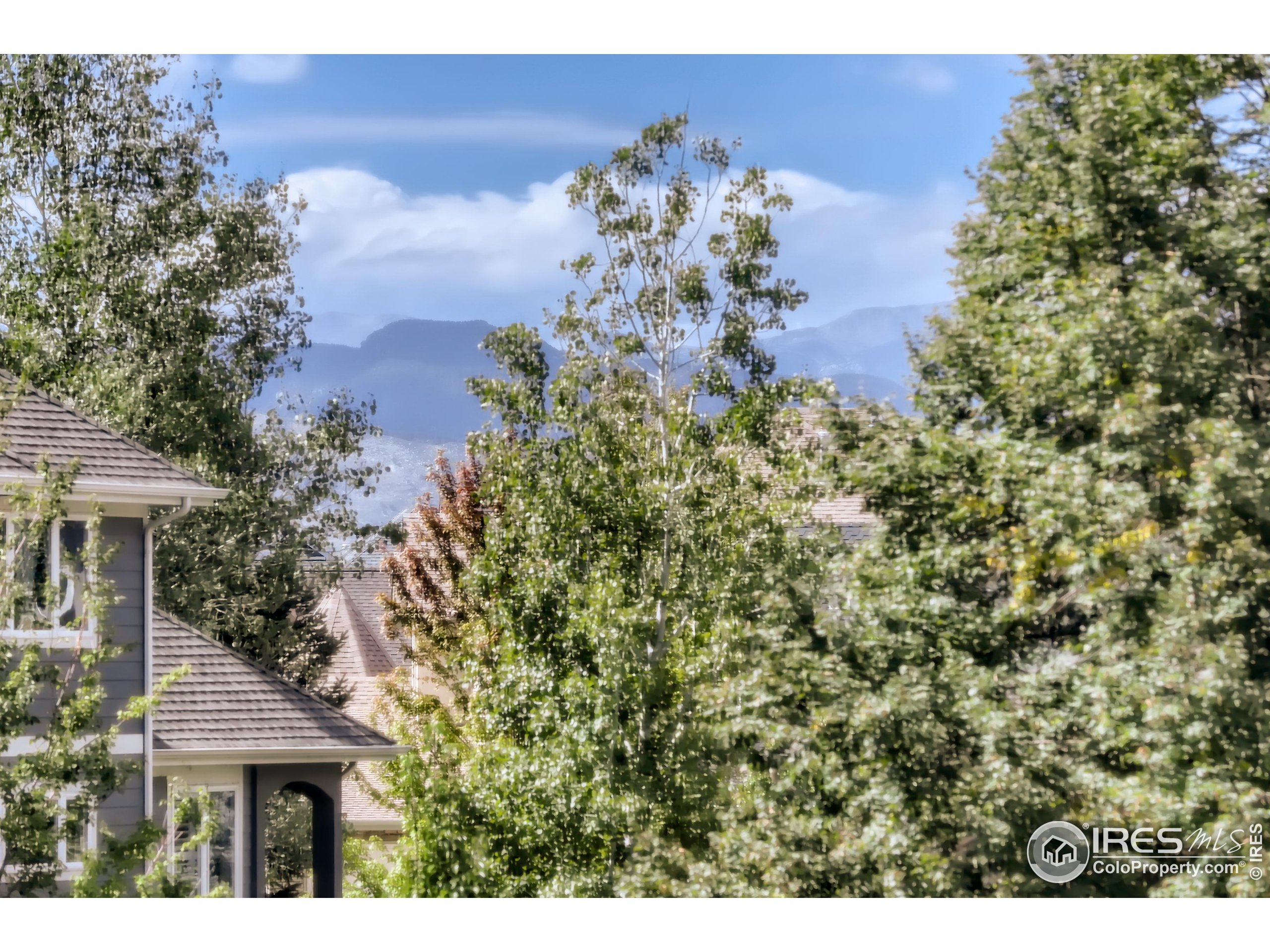 3555 Lakeshore Dr