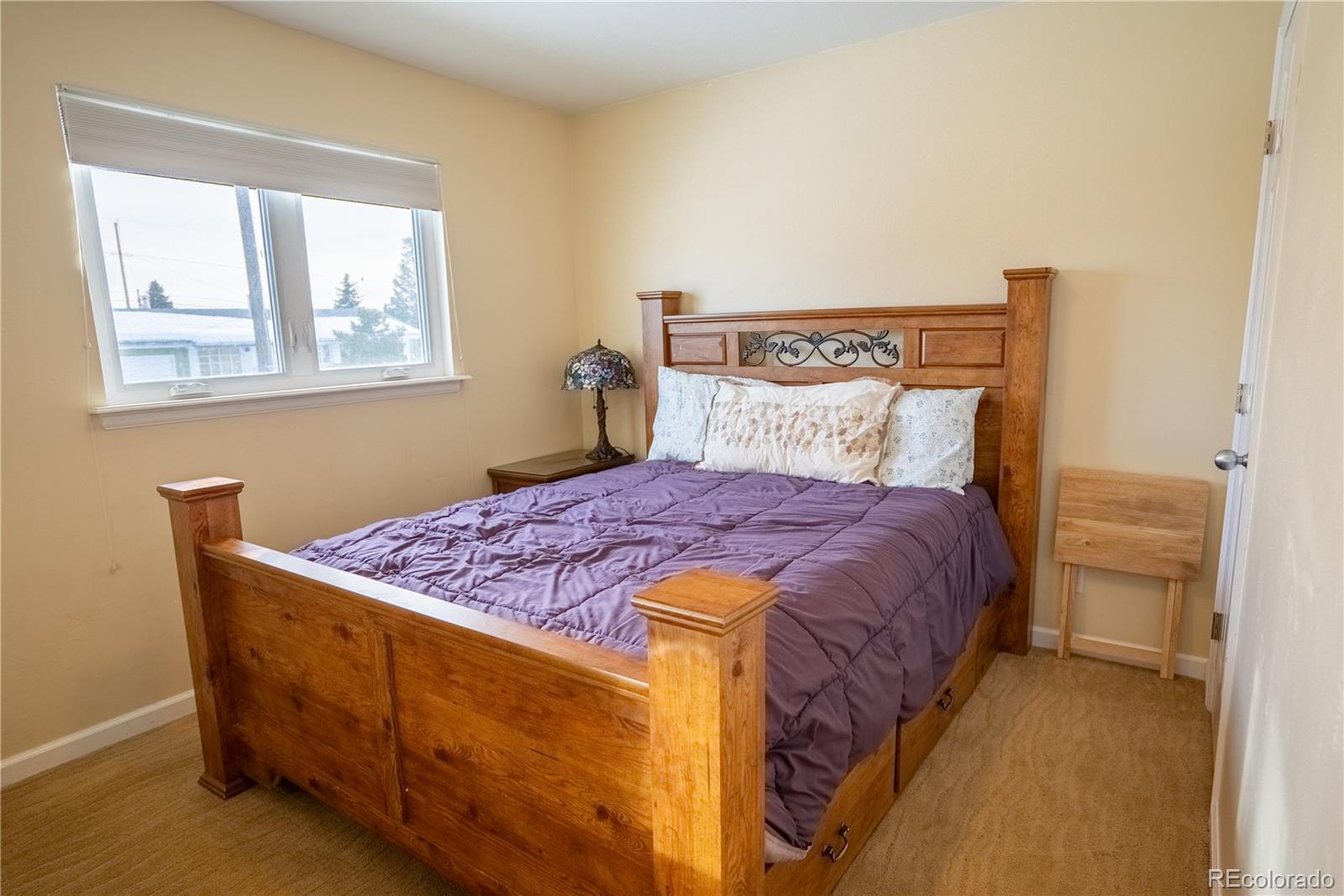 313 Mount Harvard Drive