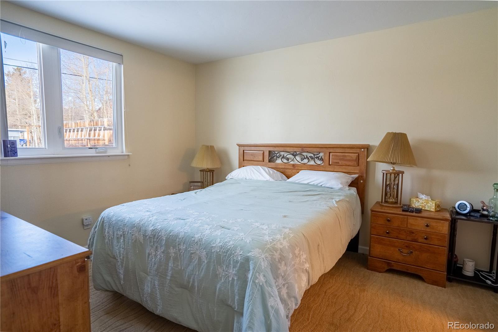 313 Mount Harvard Drive