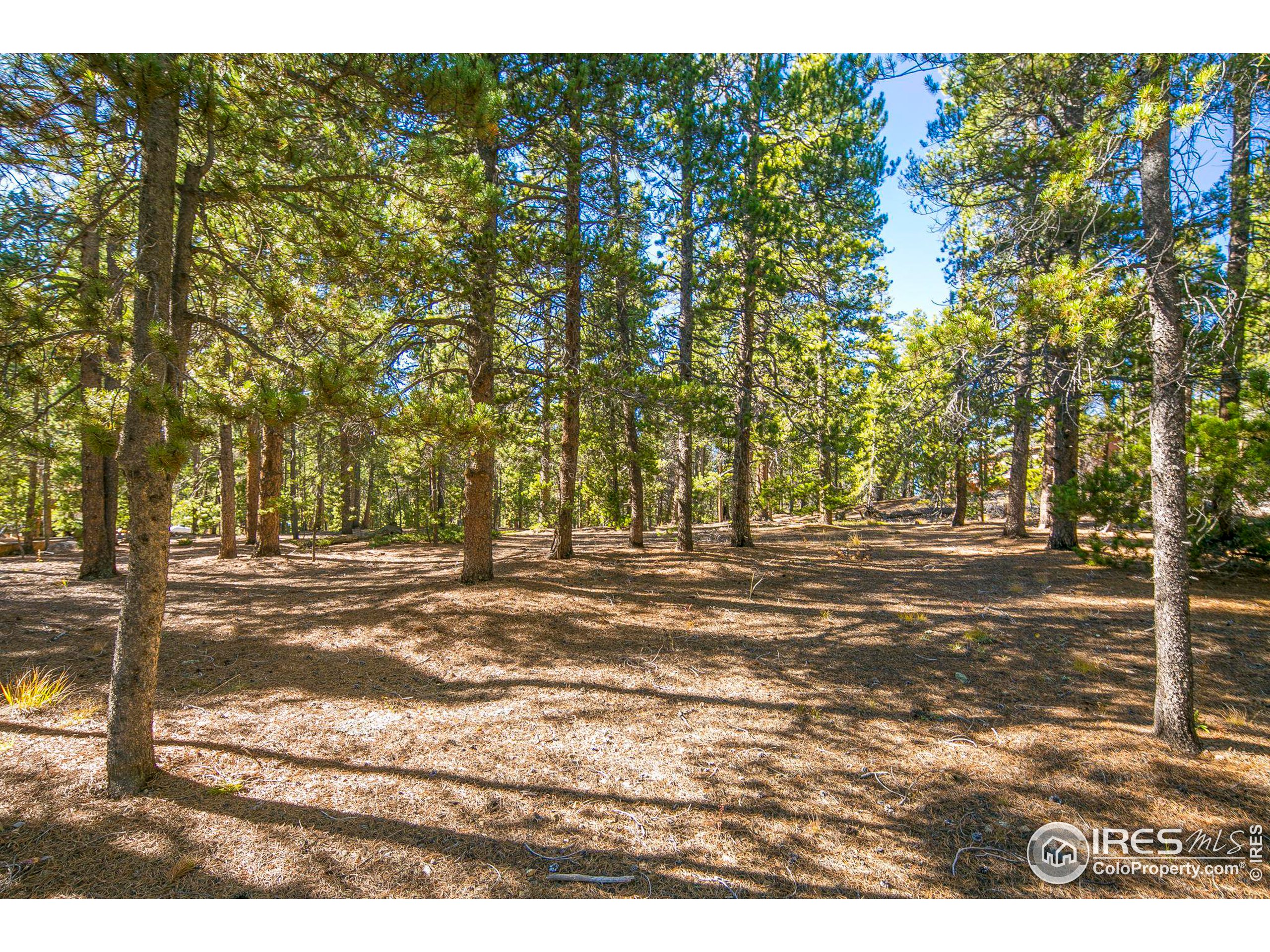 200 Severance Lodge Rd