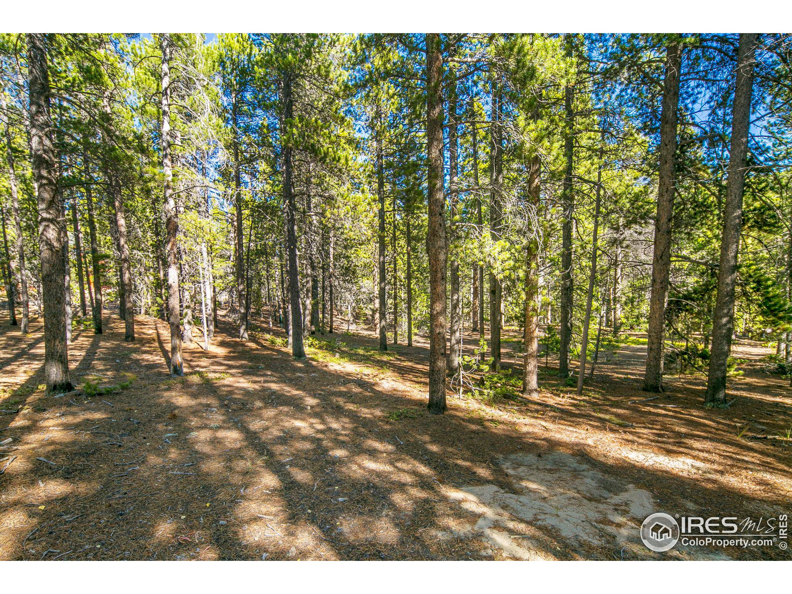 200 Severance Lodge Rd