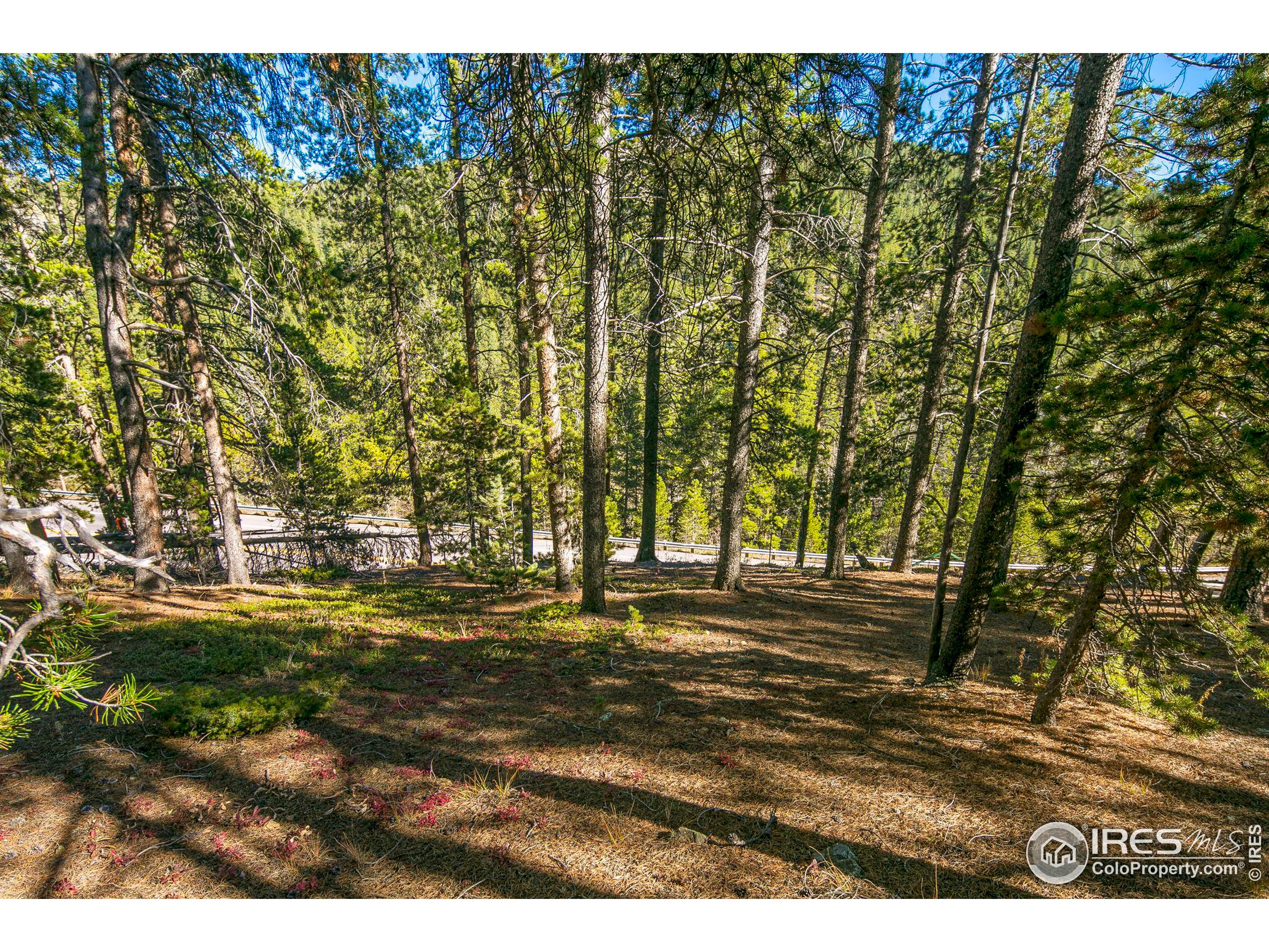 200 Severance Lodge Rd