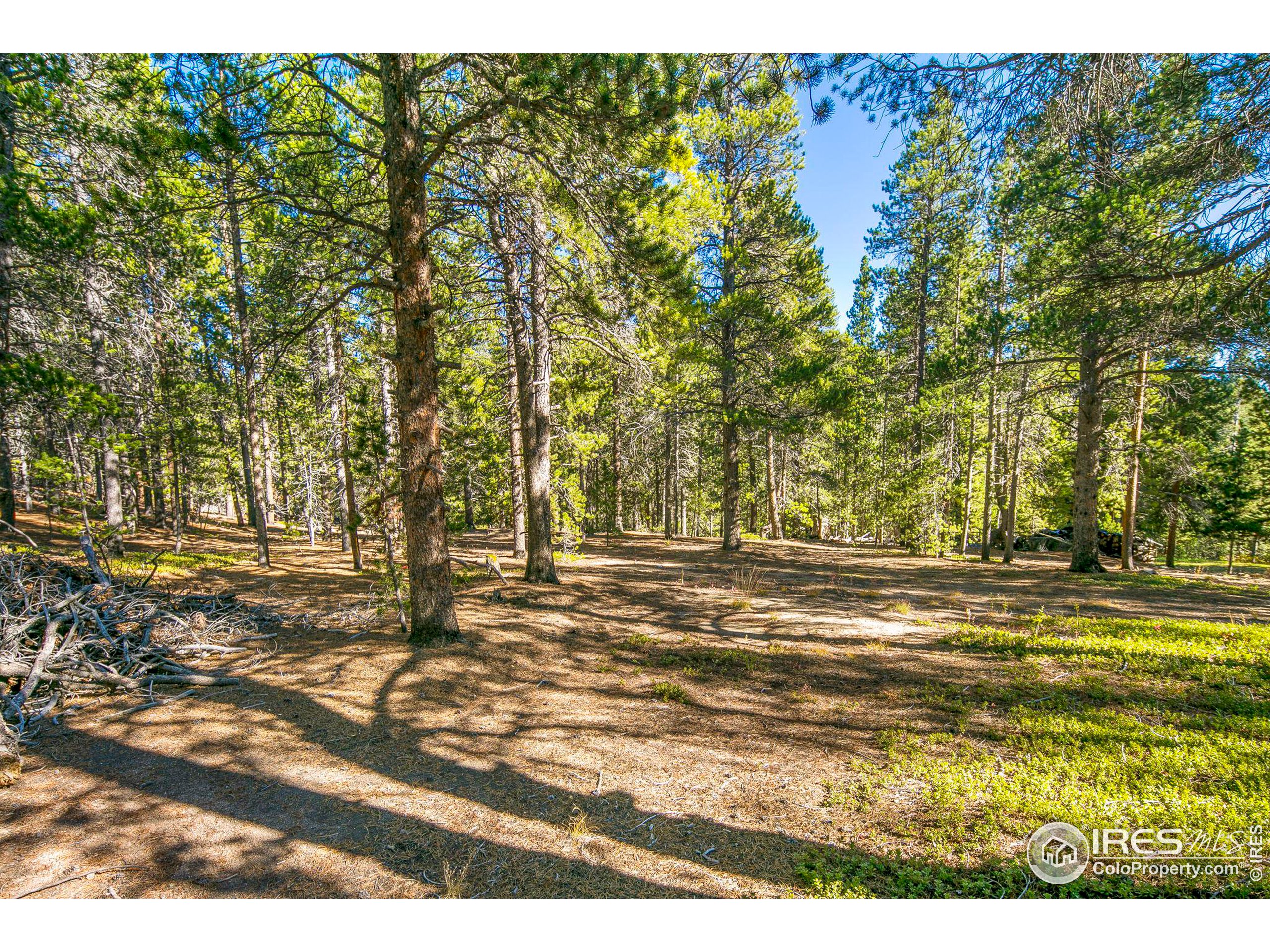 200 Severance Lodge Rd