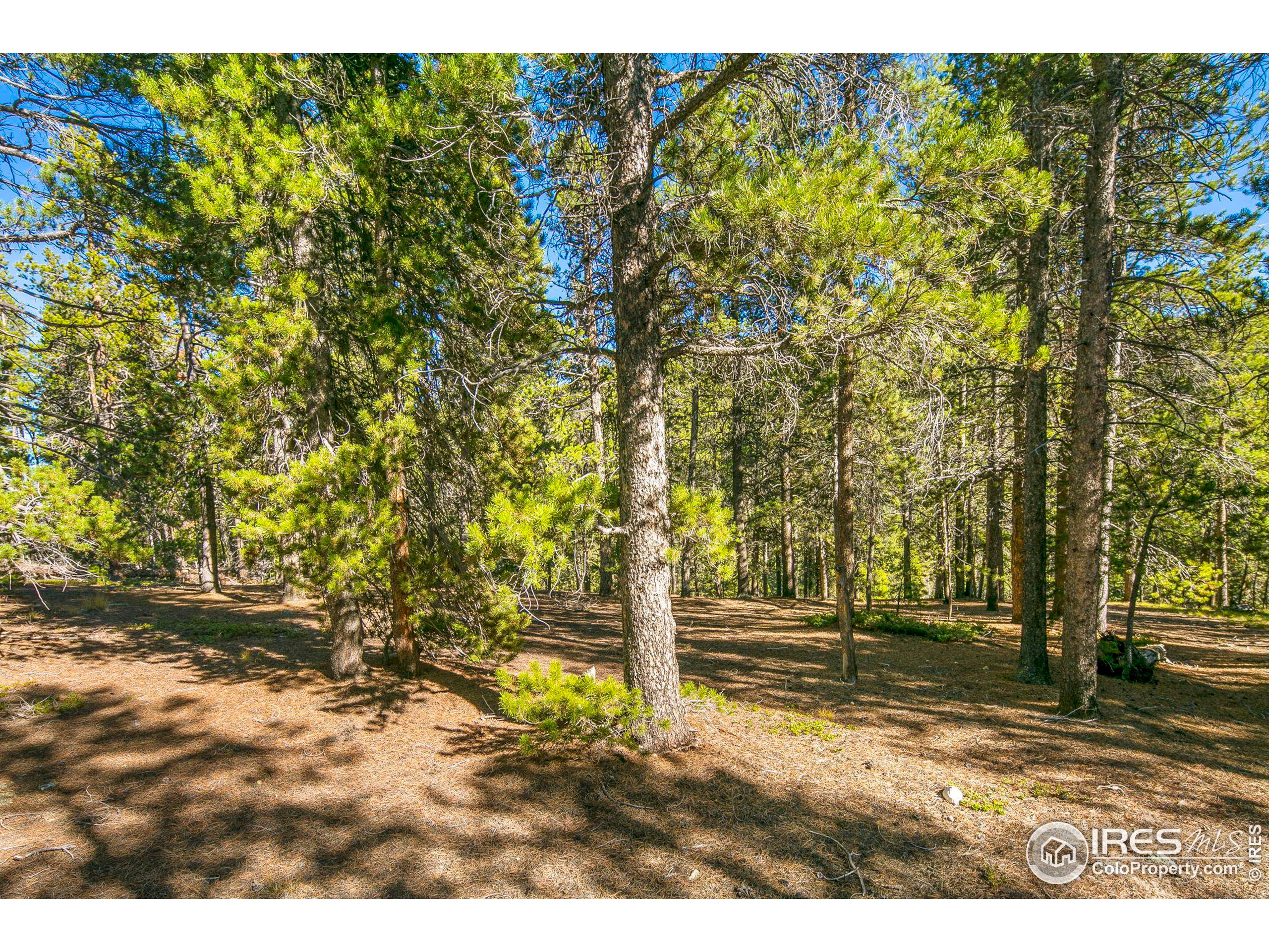 200 Severance Lodge Rd