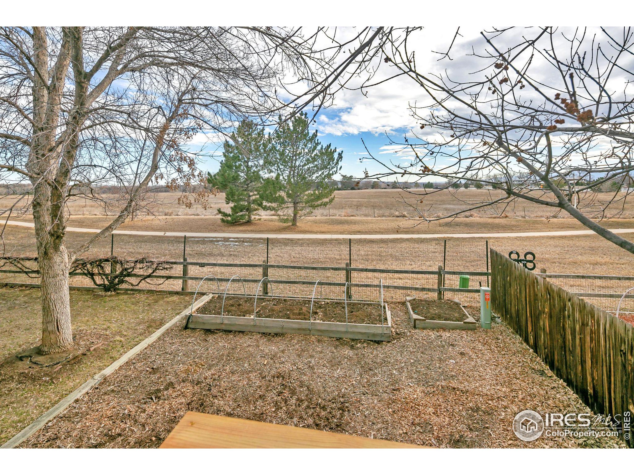 3515 Bluestem Ave