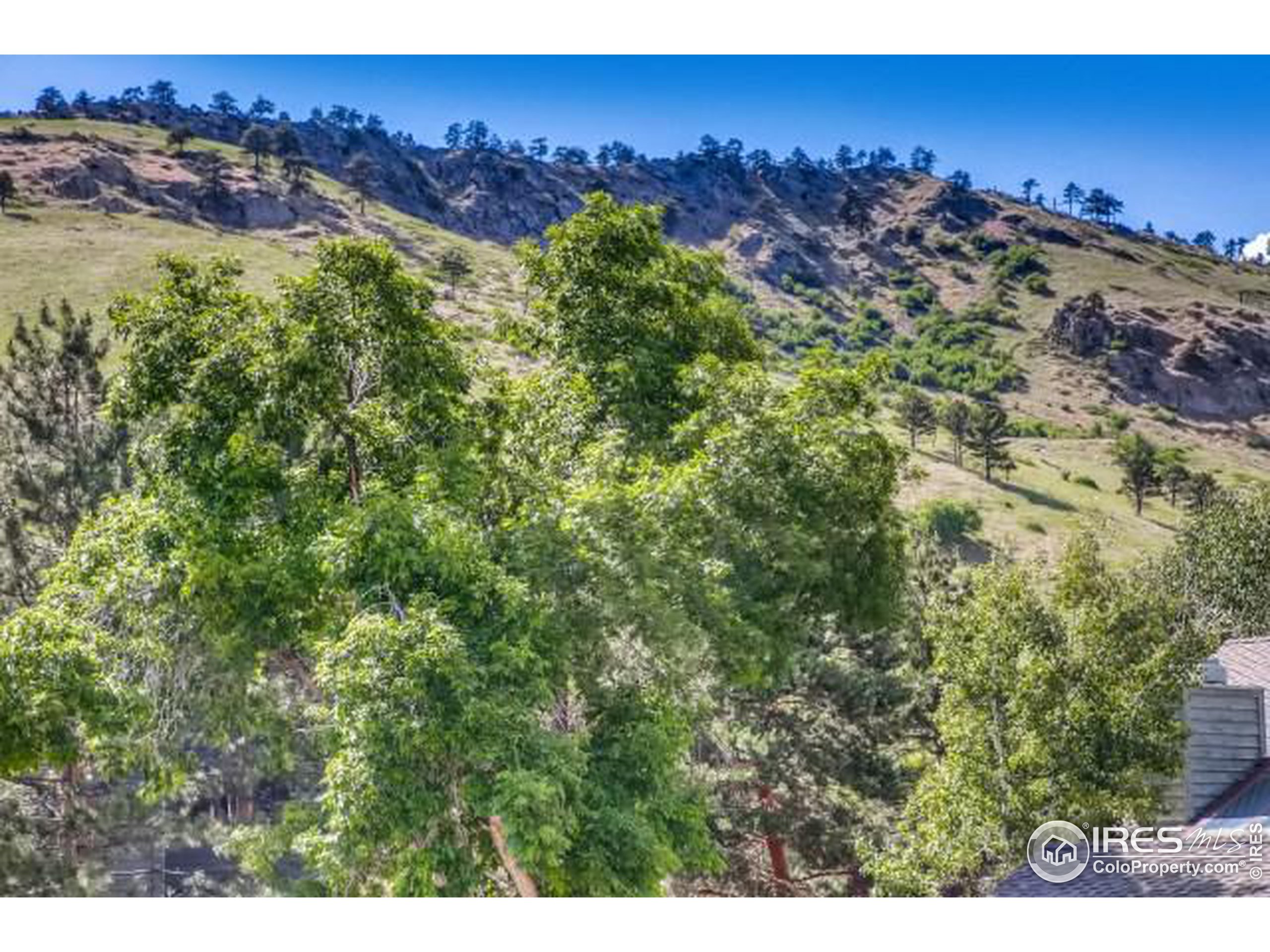 490 Quail Cir
