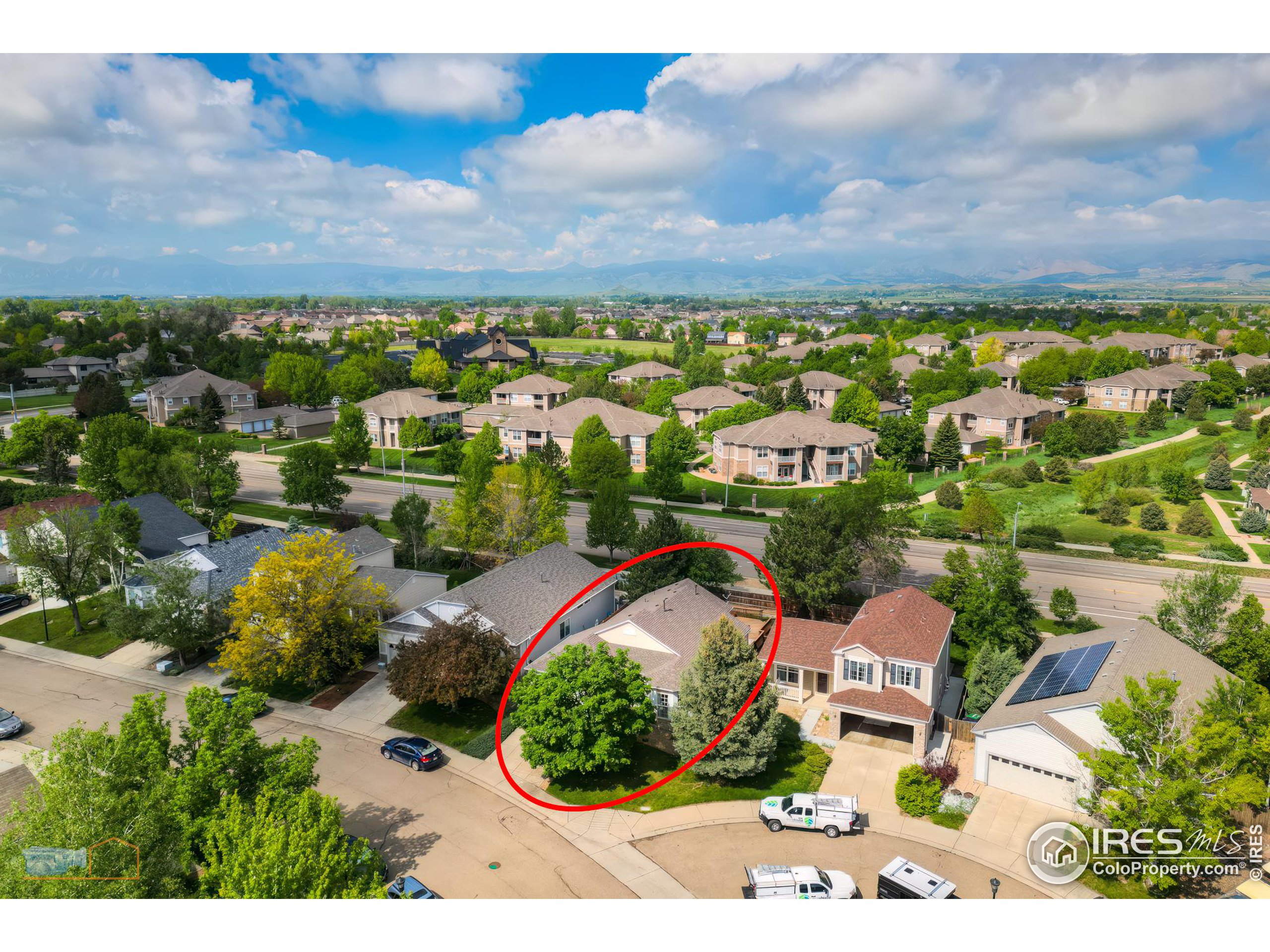 1479 Wildrose Dr