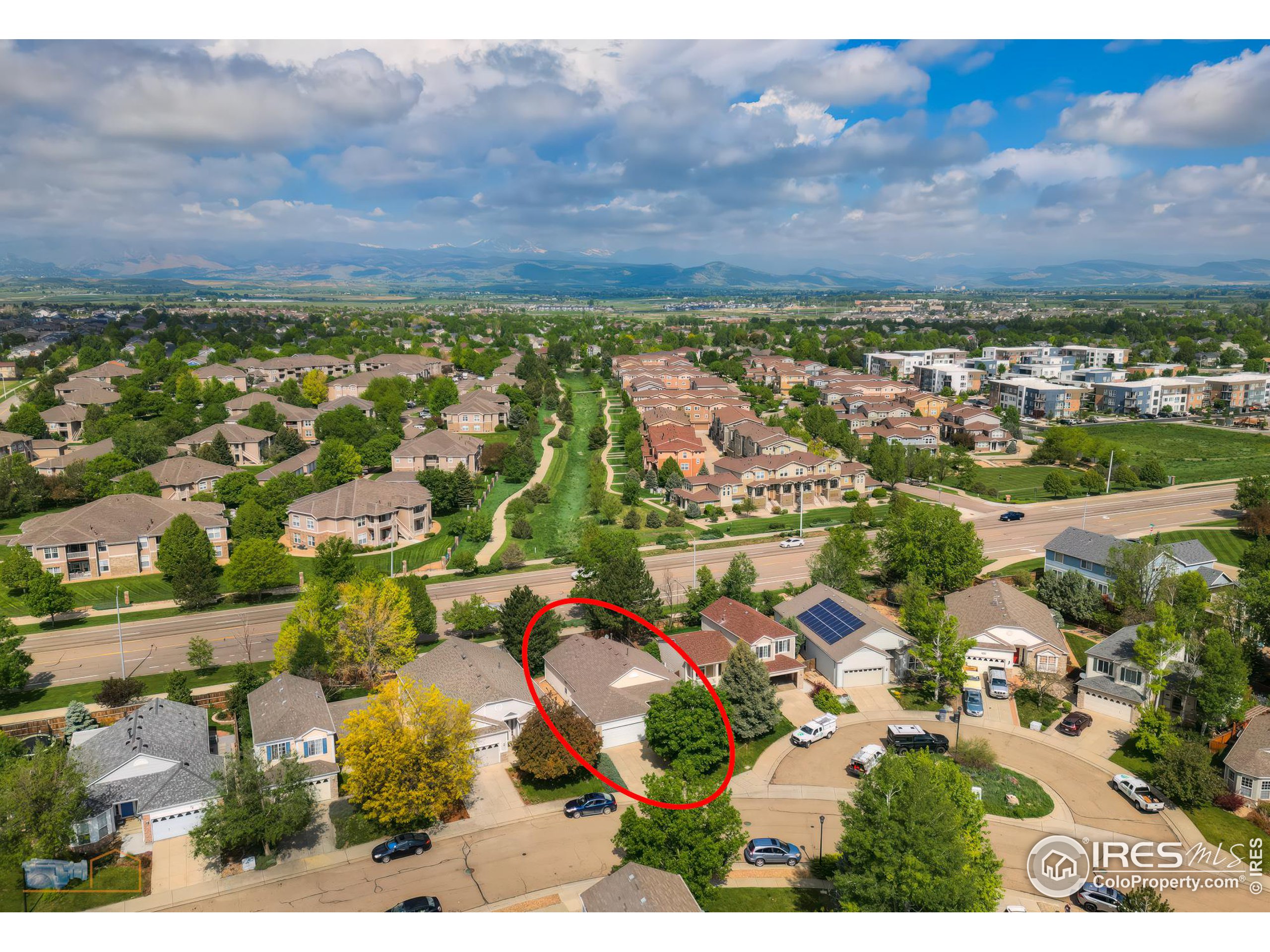1479 Wildrose Dr