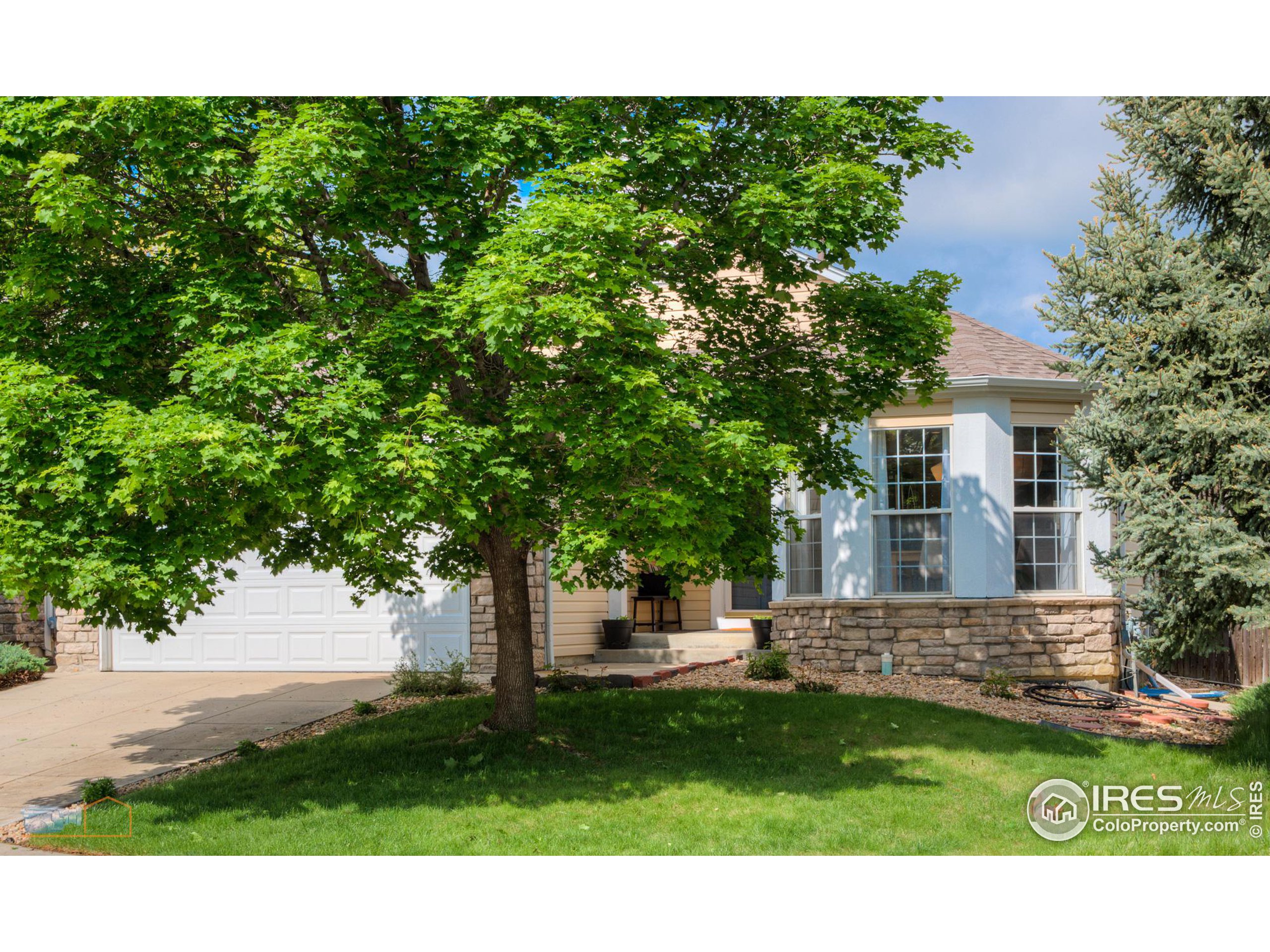 1479 Wildrose Dr