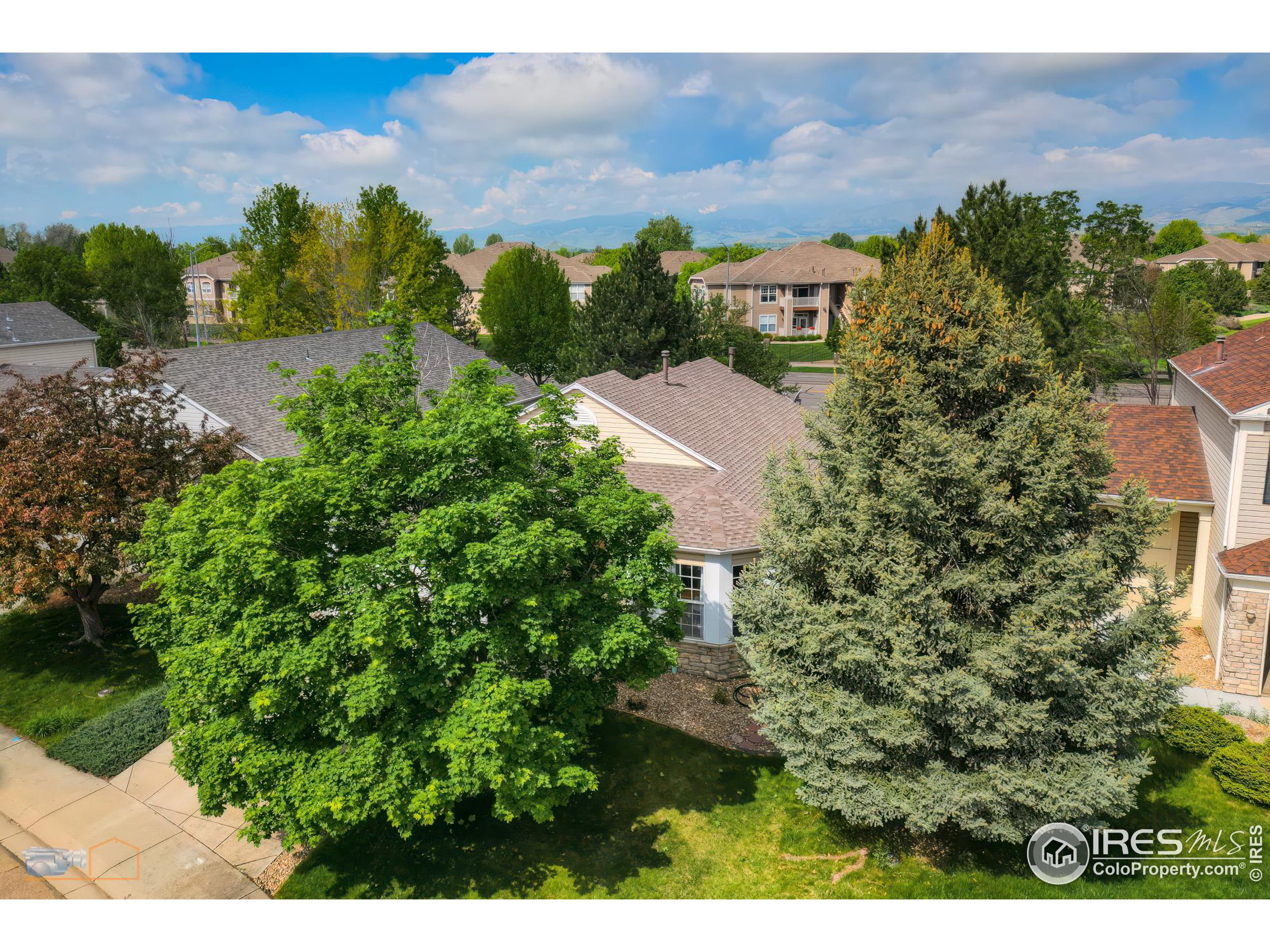 1479 Wildrose Dr