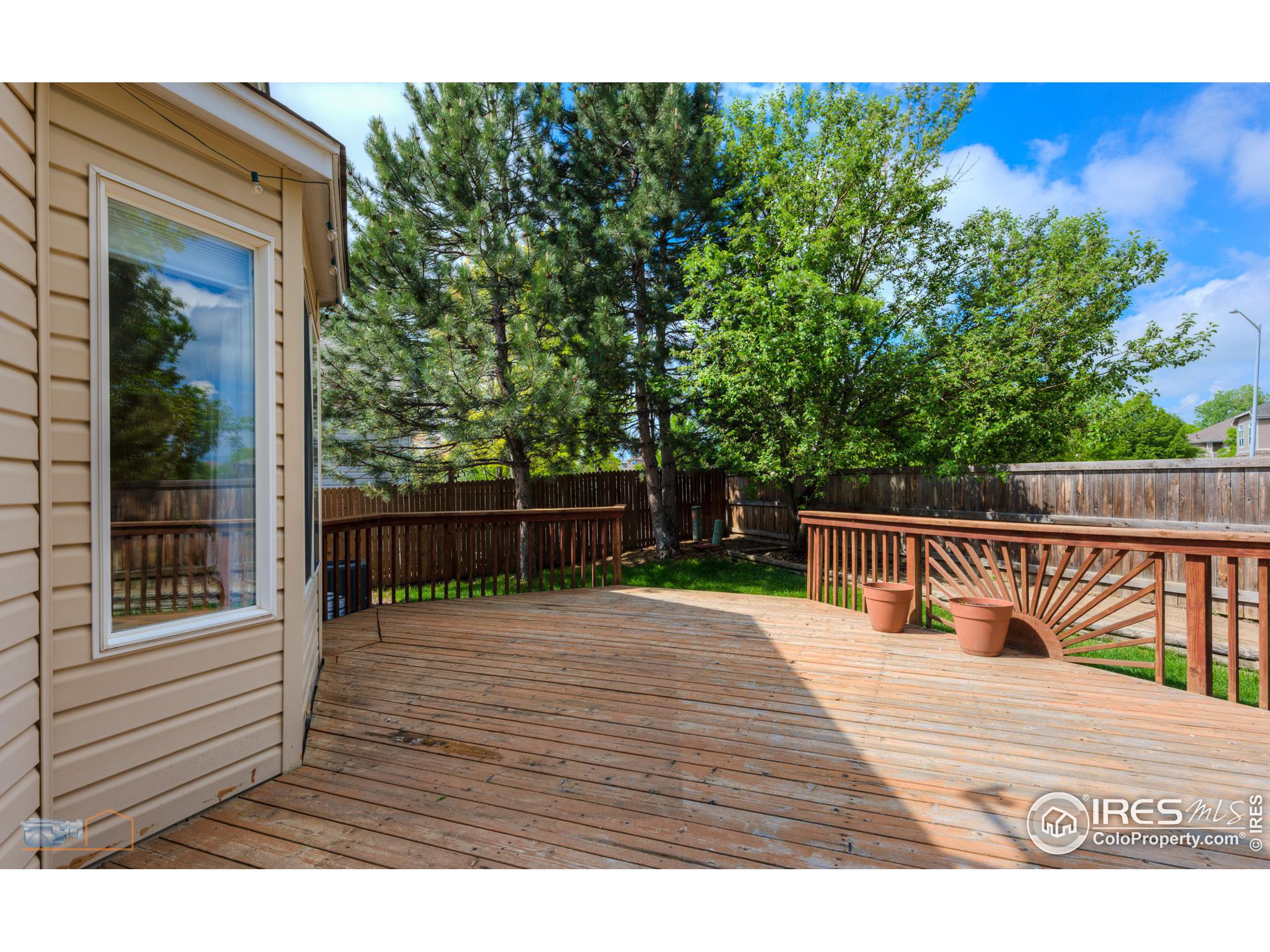 1479 Wildrose Dr