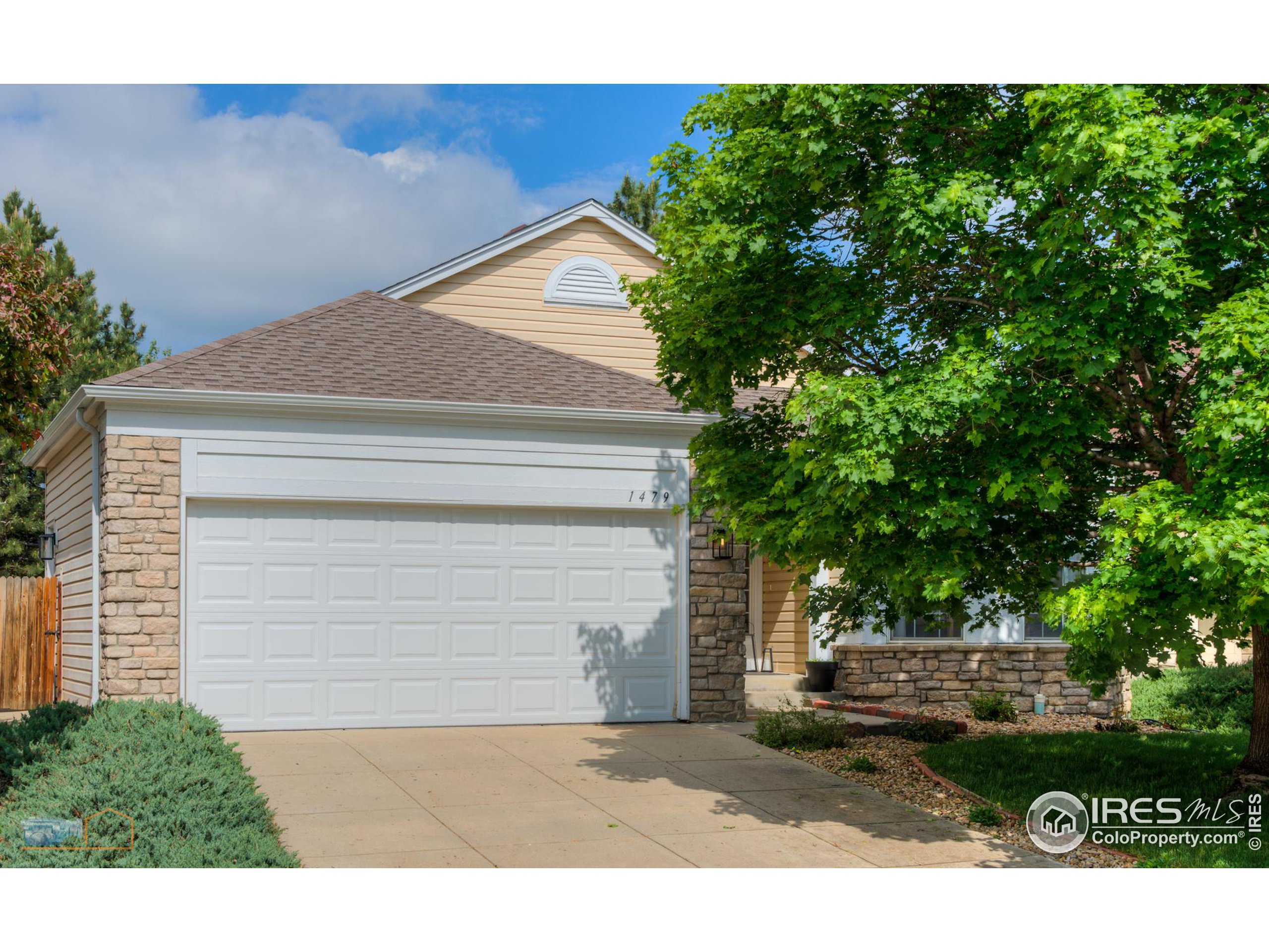 1479 Wildrose Dr