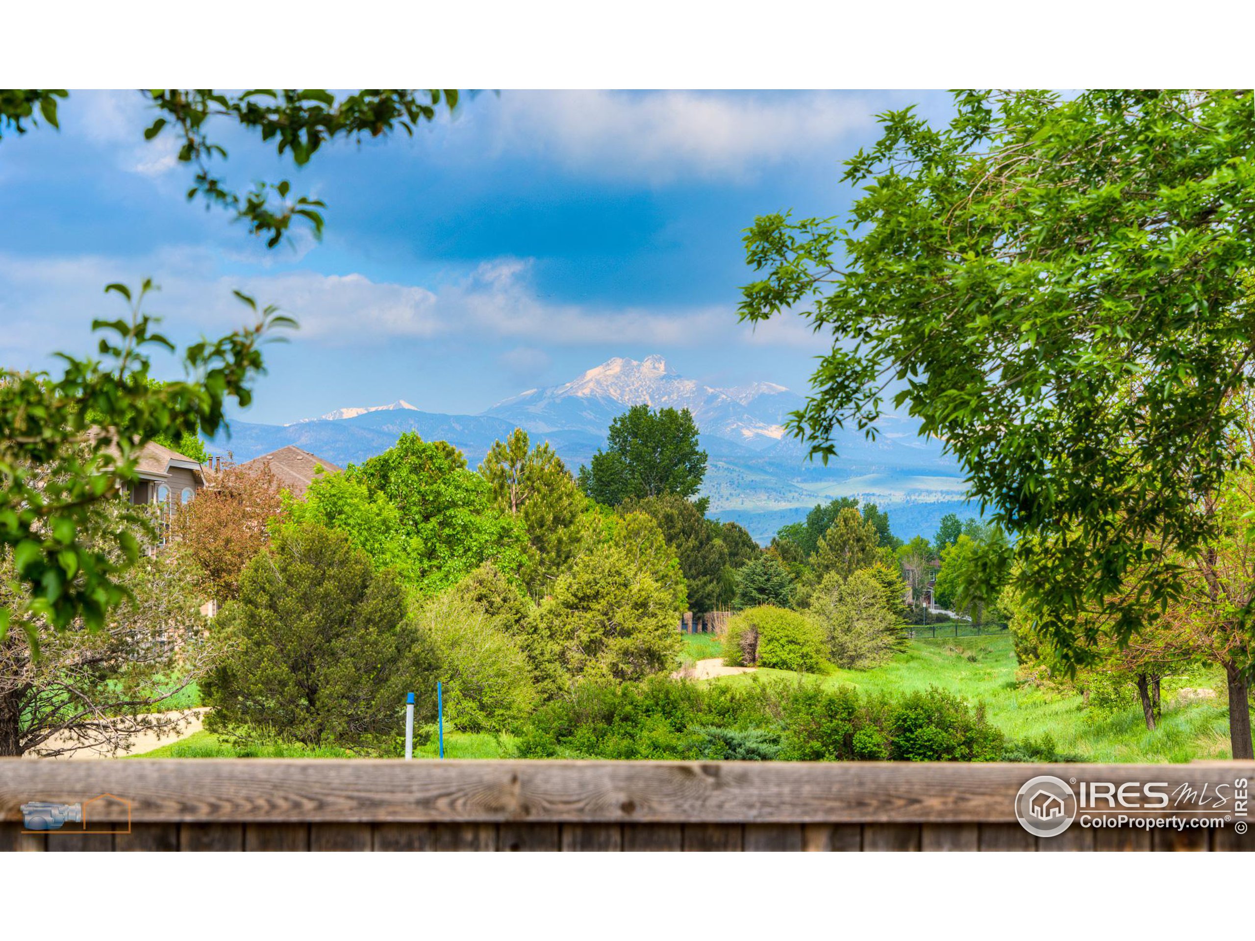 1479 Wildrose Dr