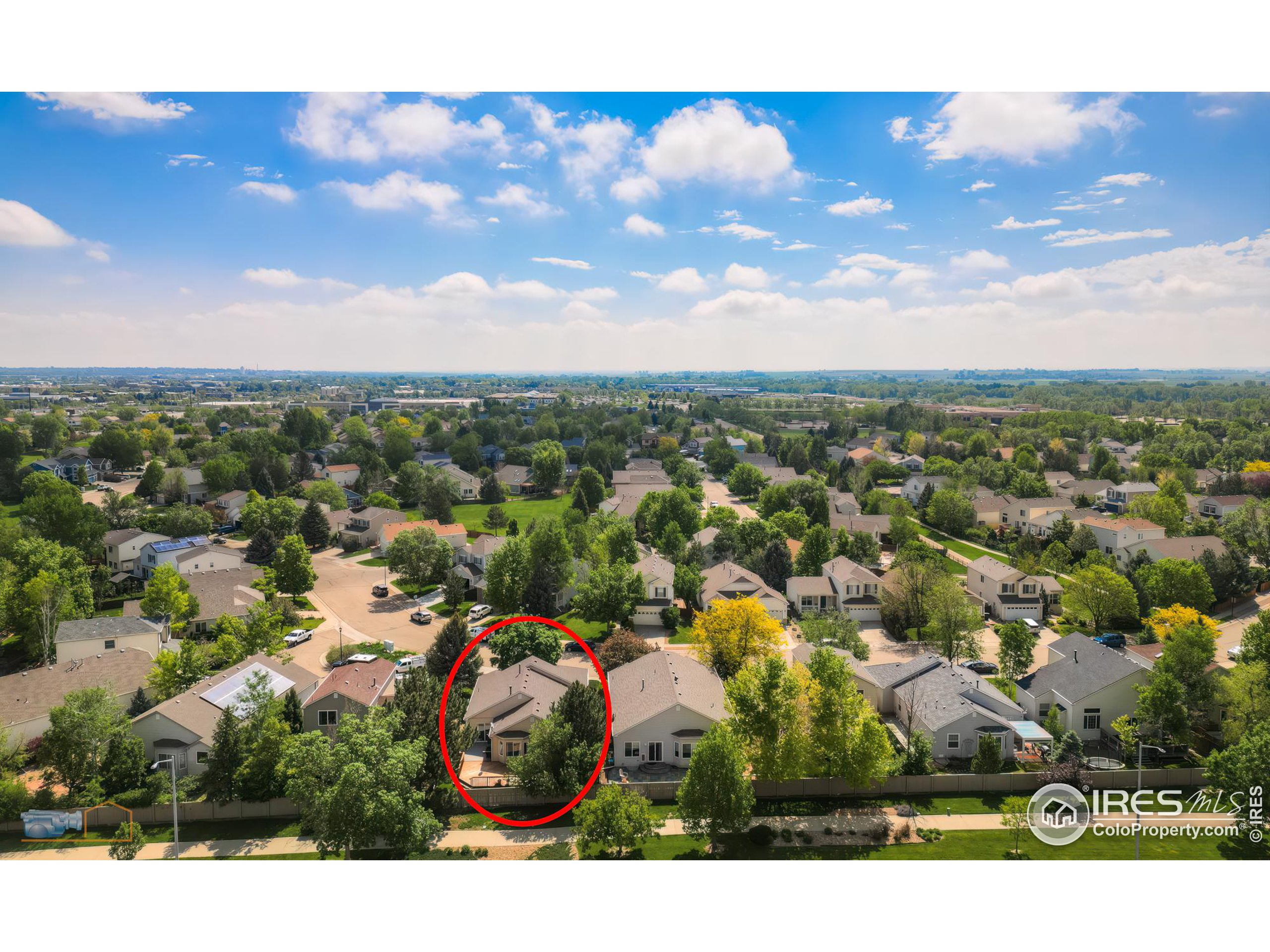 1479 Wildrose Dr
