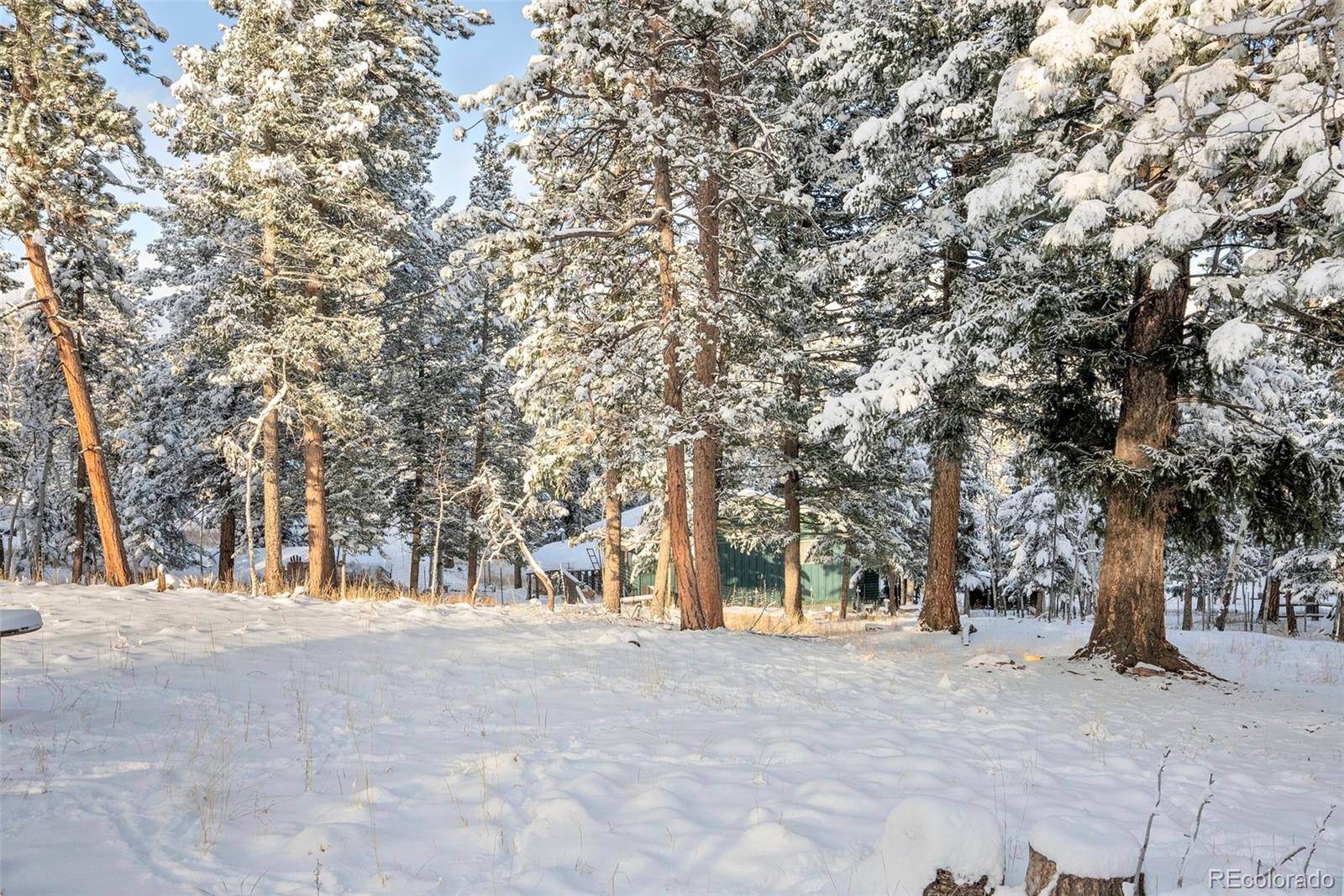 252 Beaver Trail