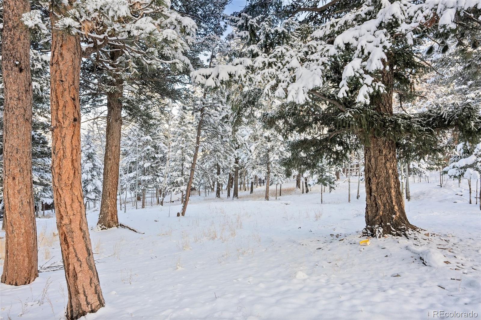 252 Beaver Trail