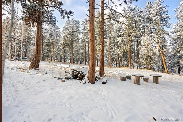252 Beaver Trail