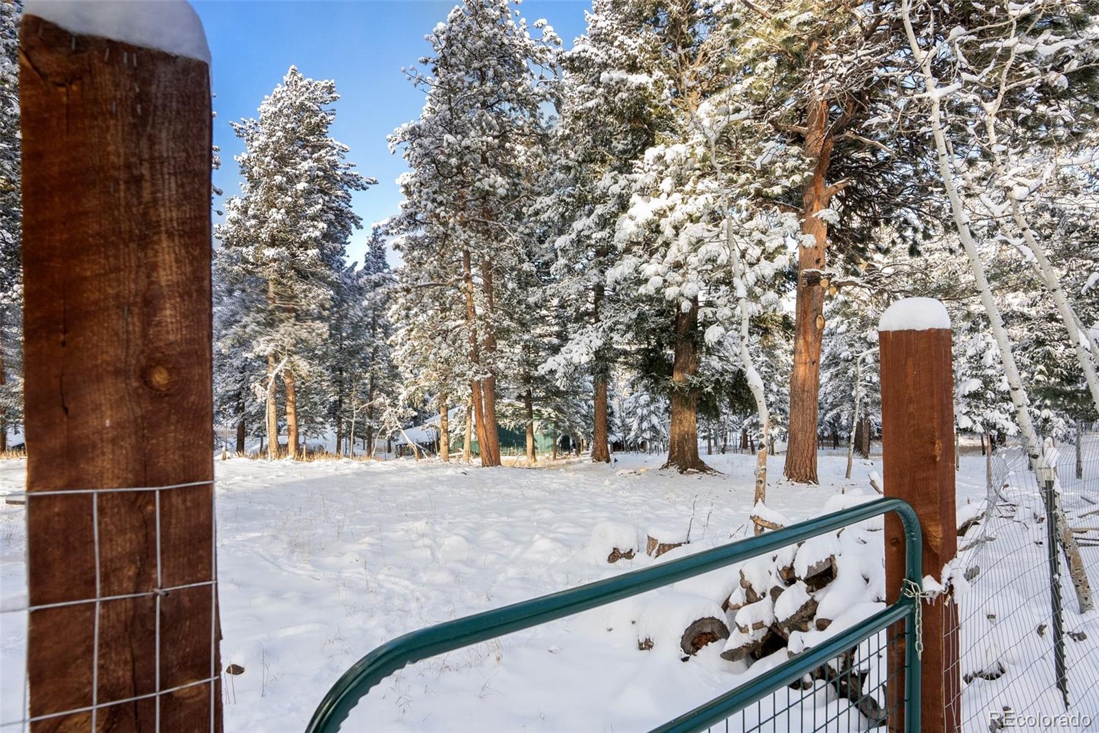 252 Beaver Trail