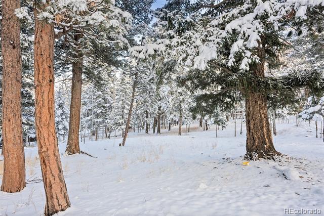 252 Beaver Trail