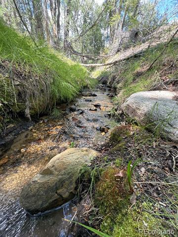 12605 Coyote Valley Road