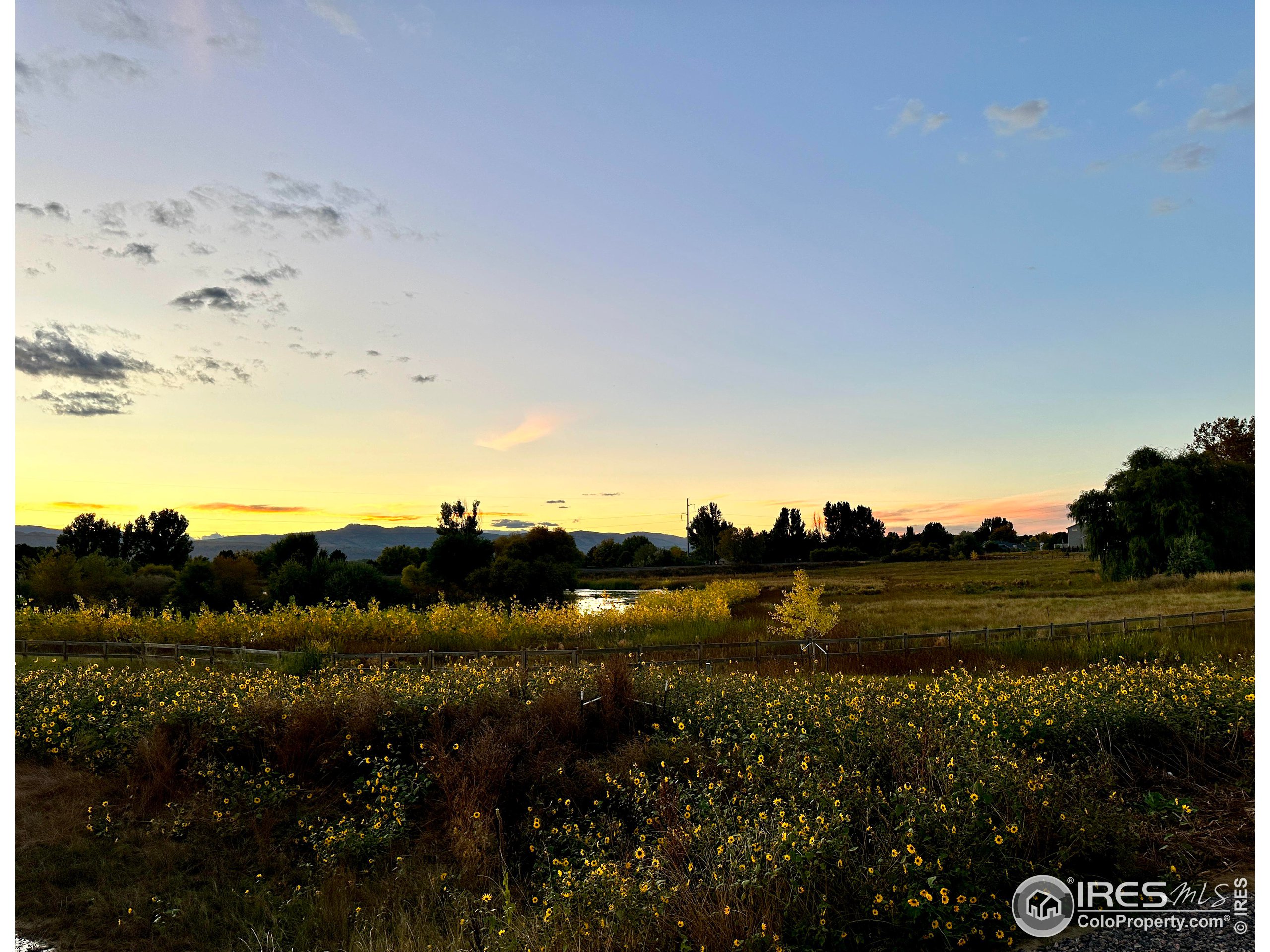 6021 Croaking Toad Dr