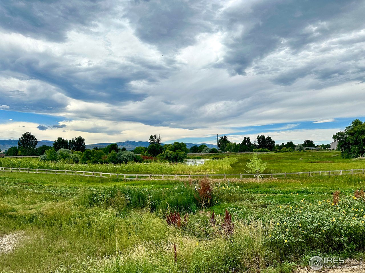 6021 Croaking Toad Dr