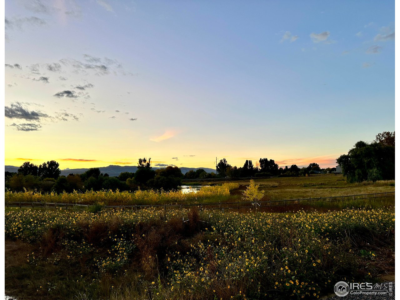 6021 Croaking Toad Dr