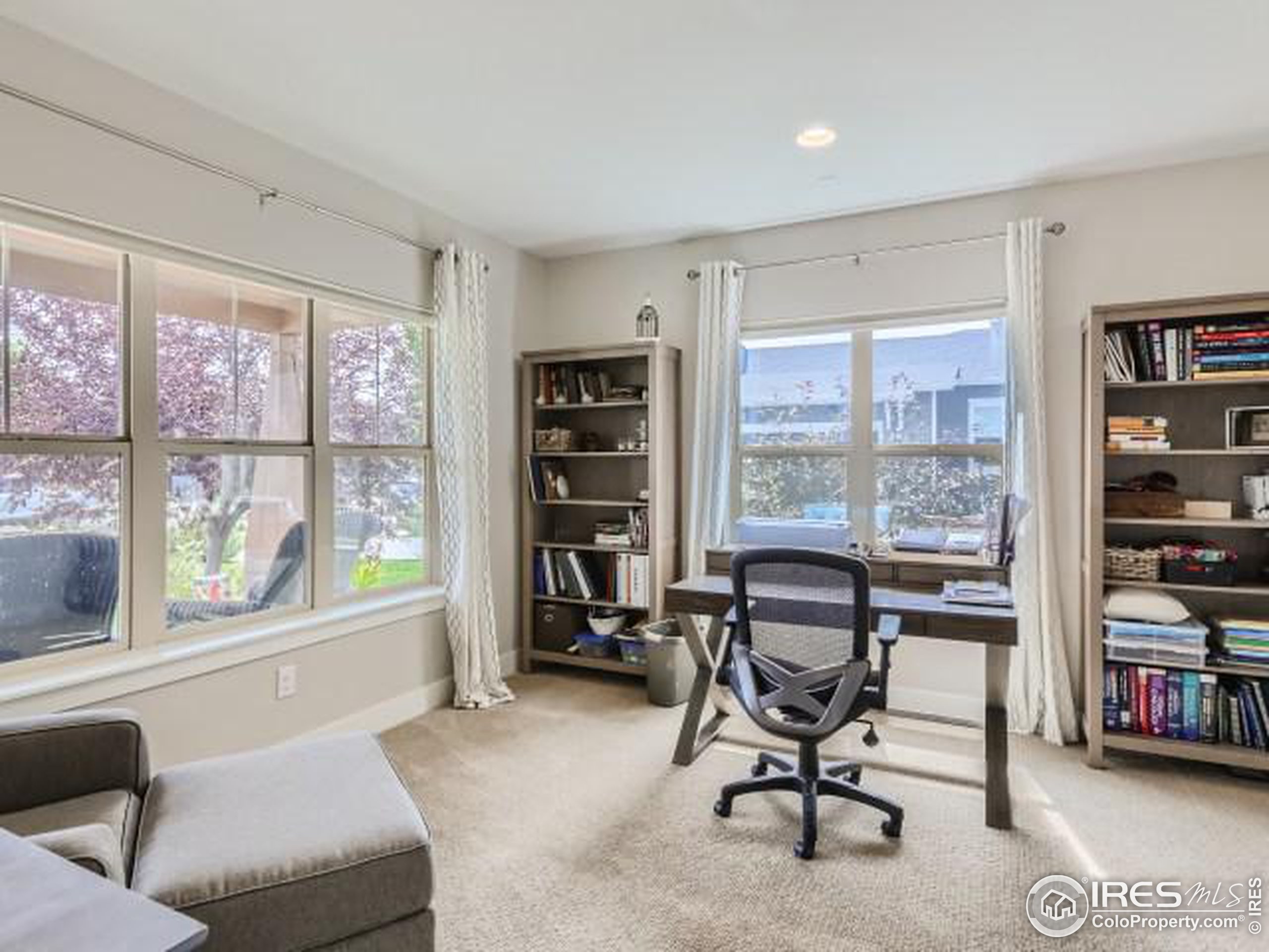 2563 Bluestem Willow Dr