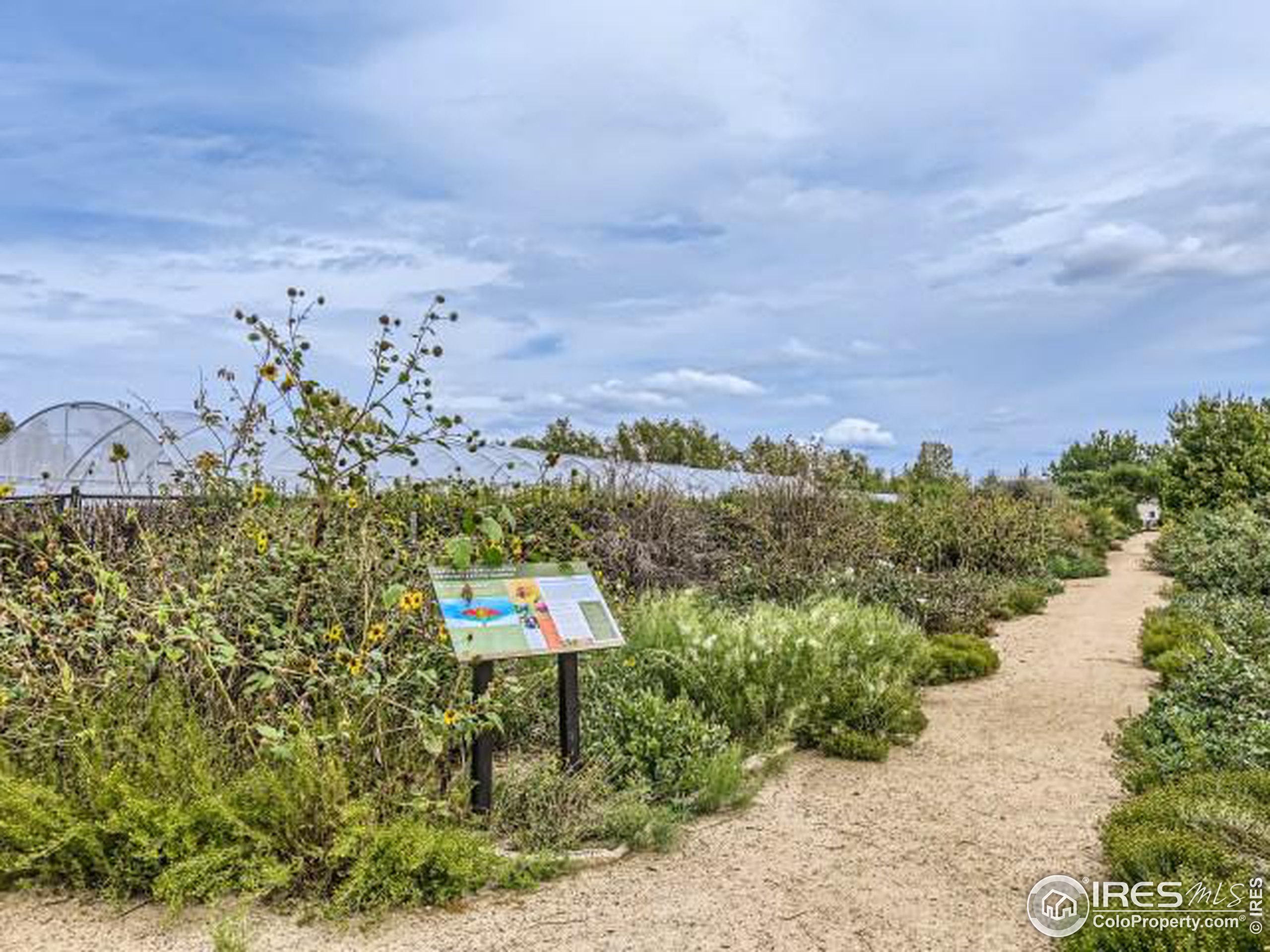 2563 Bluestem Willow Dr