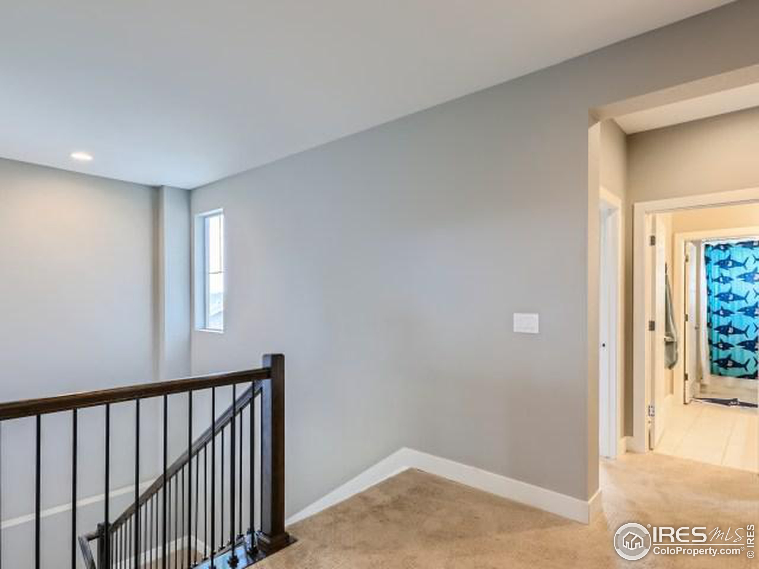 2563 Bluestem Willow Dr