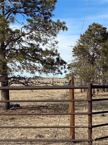 27680 Big Springs Road