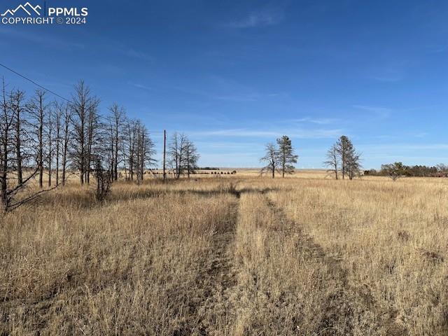 27680 Big Springs Road