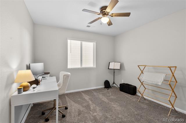 2637 Gray Wolf Place