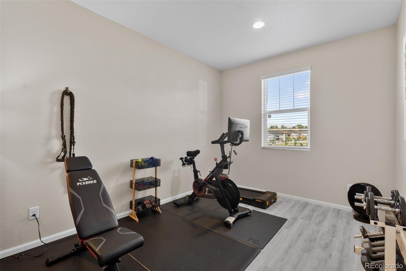 2637 Gray Wolf Place