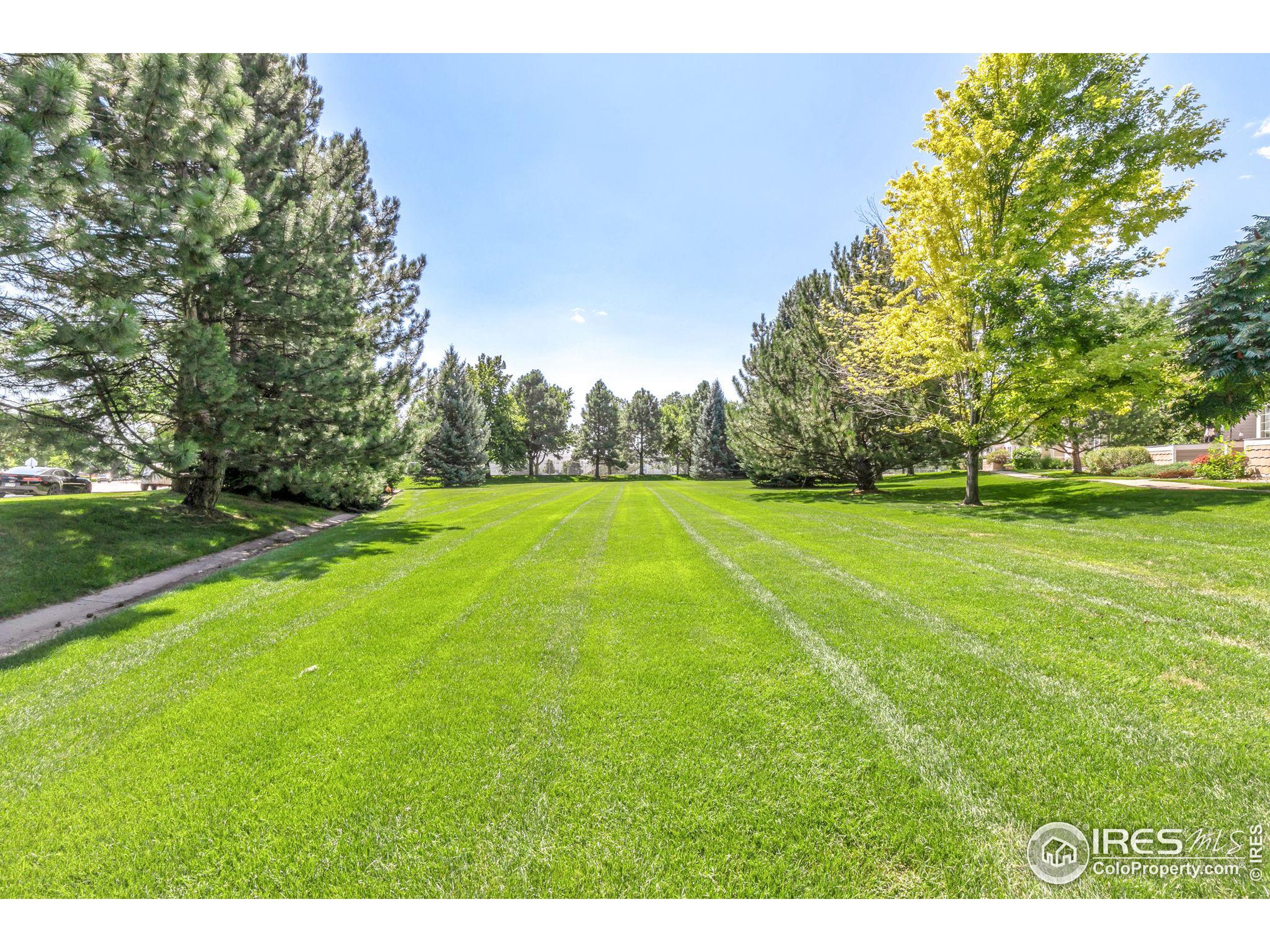 2602 Timberwood Dr Unit: 16