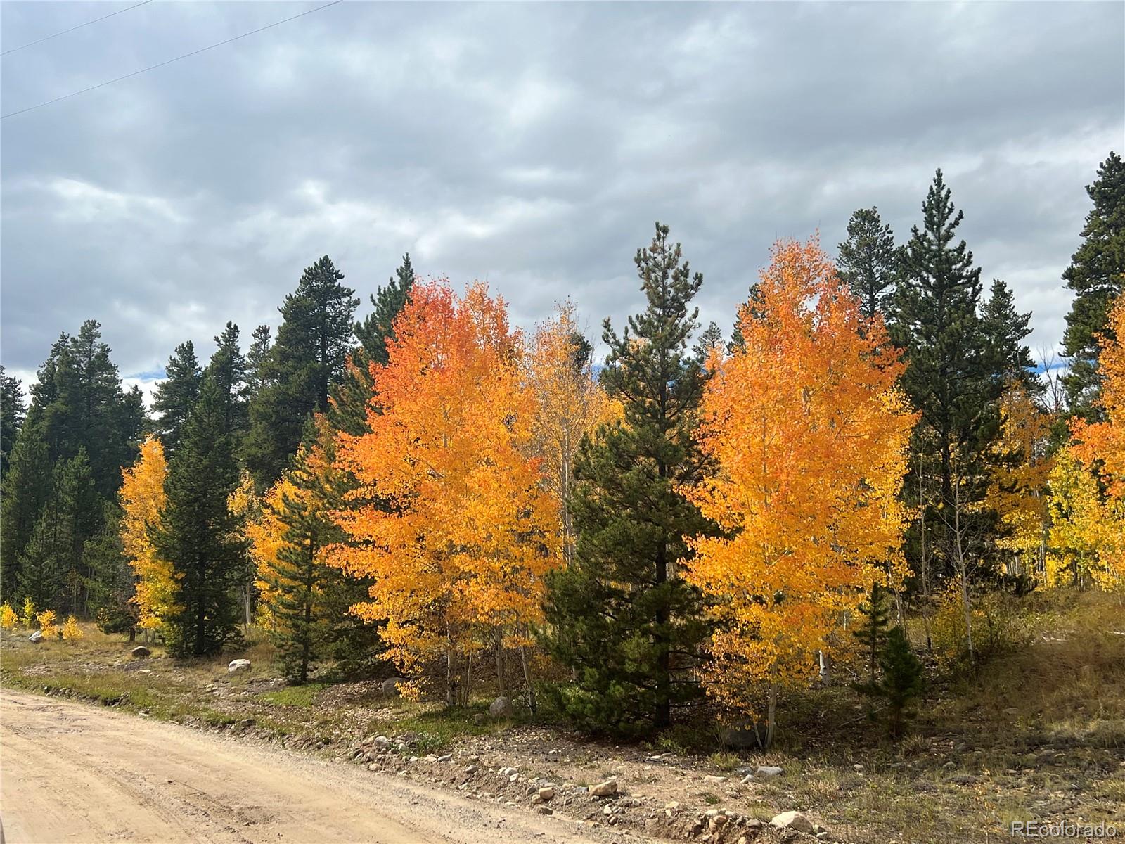 757 Thompson Park Road