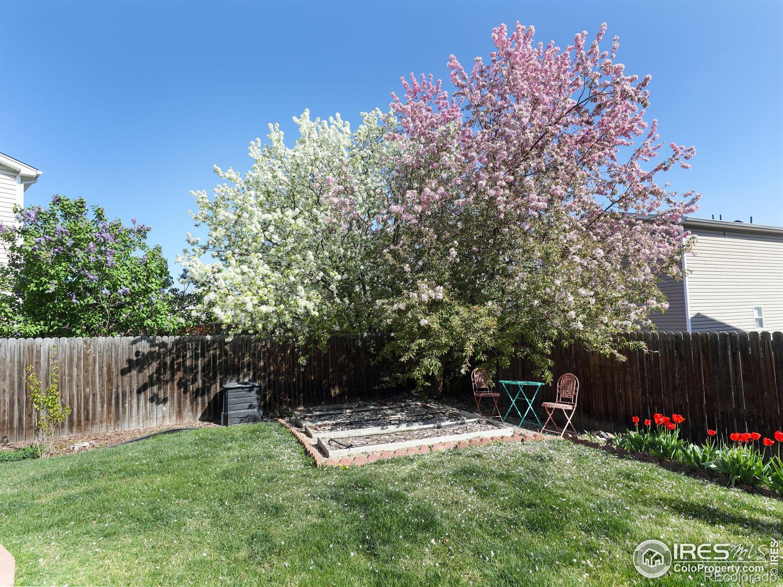 1324 Trout Creek Place