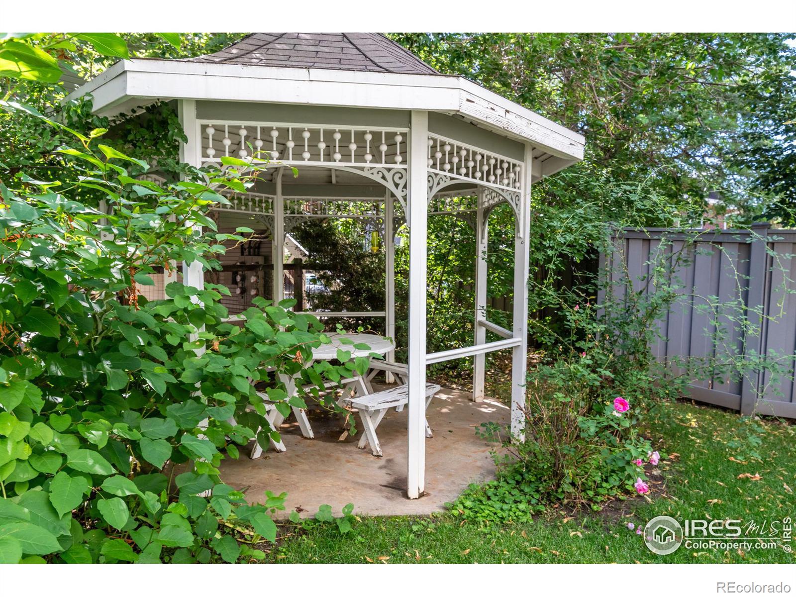 1430 18th Street Unit: 6