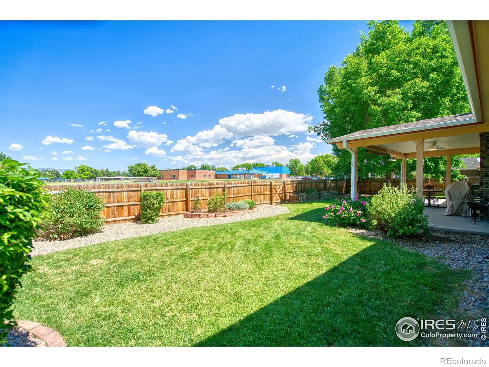 31 Cornell Drive