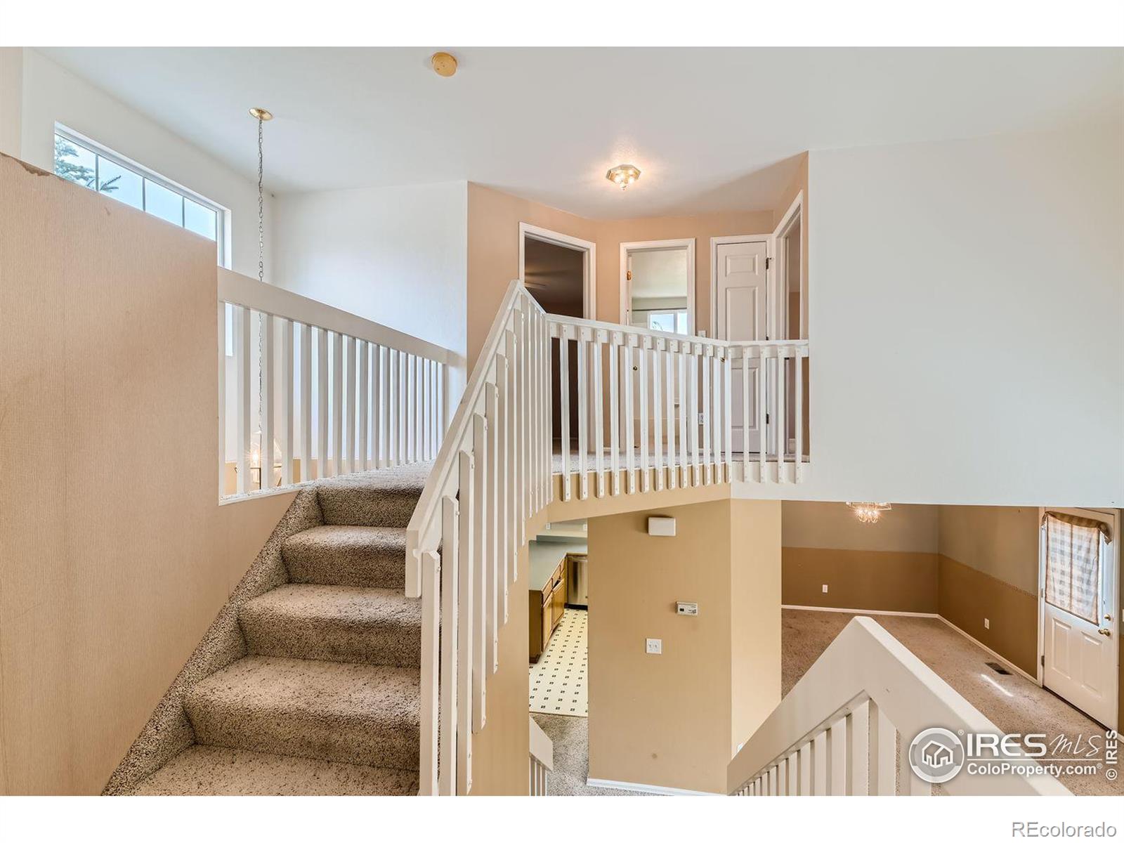 1429 Flannagan Court