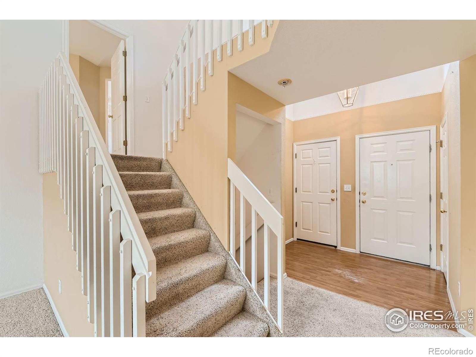 1429 Flannagan Court