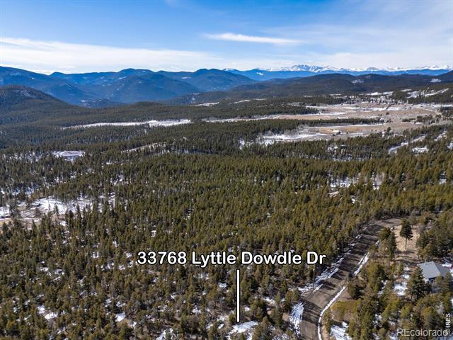 33768 Lyttle Dowdle Drive